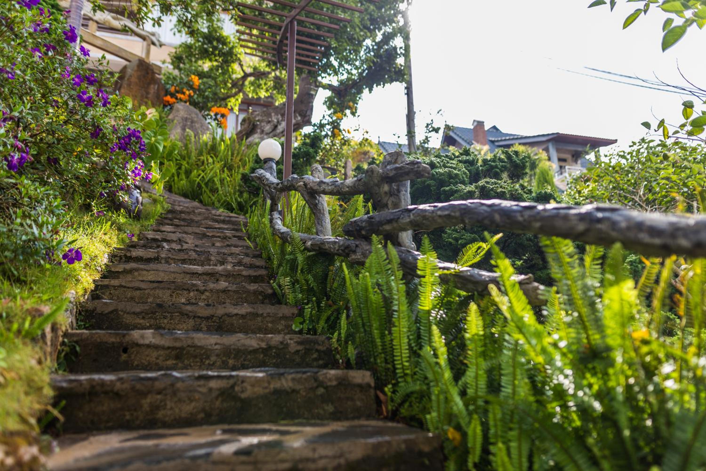 Zen Valley Dalat