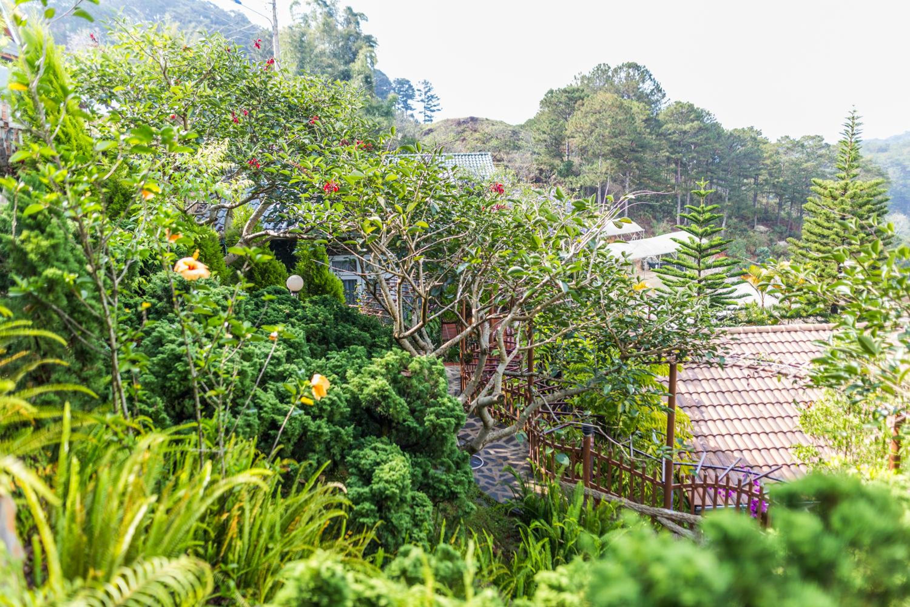 Zen Valley Dalat