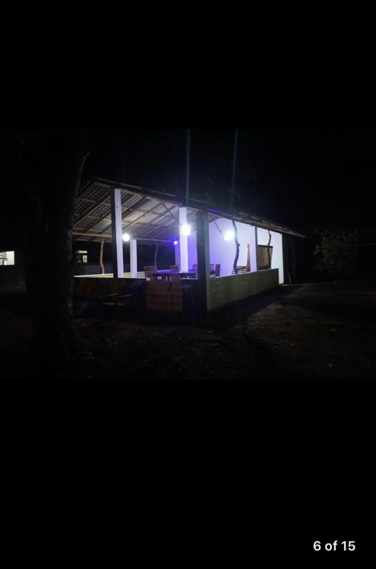 Photo 123