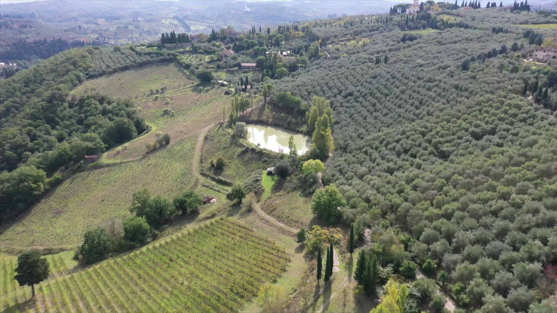 Fattoria Il Milione Agriturismo
