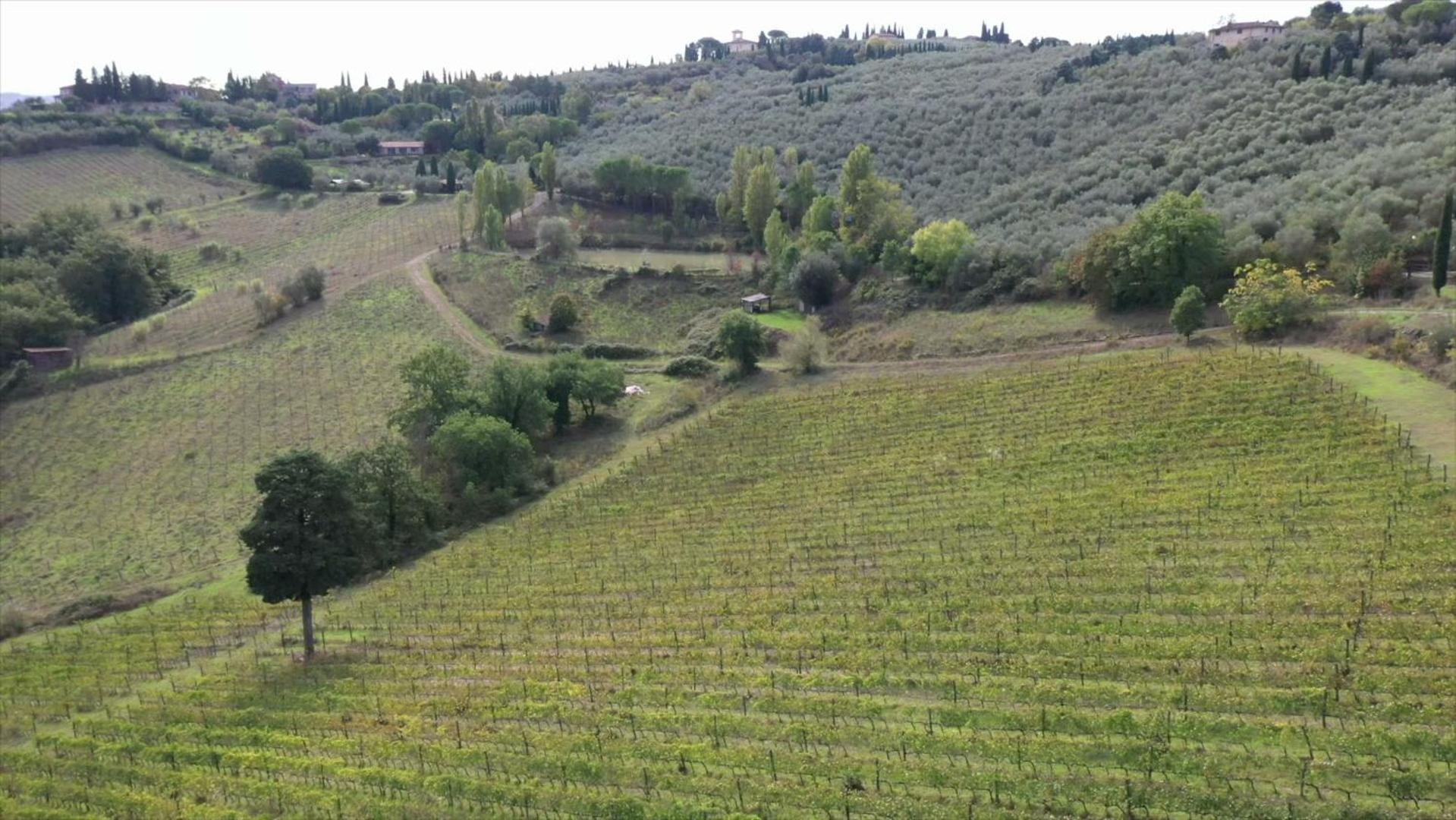 Fattoria Il Milione Agriturismo