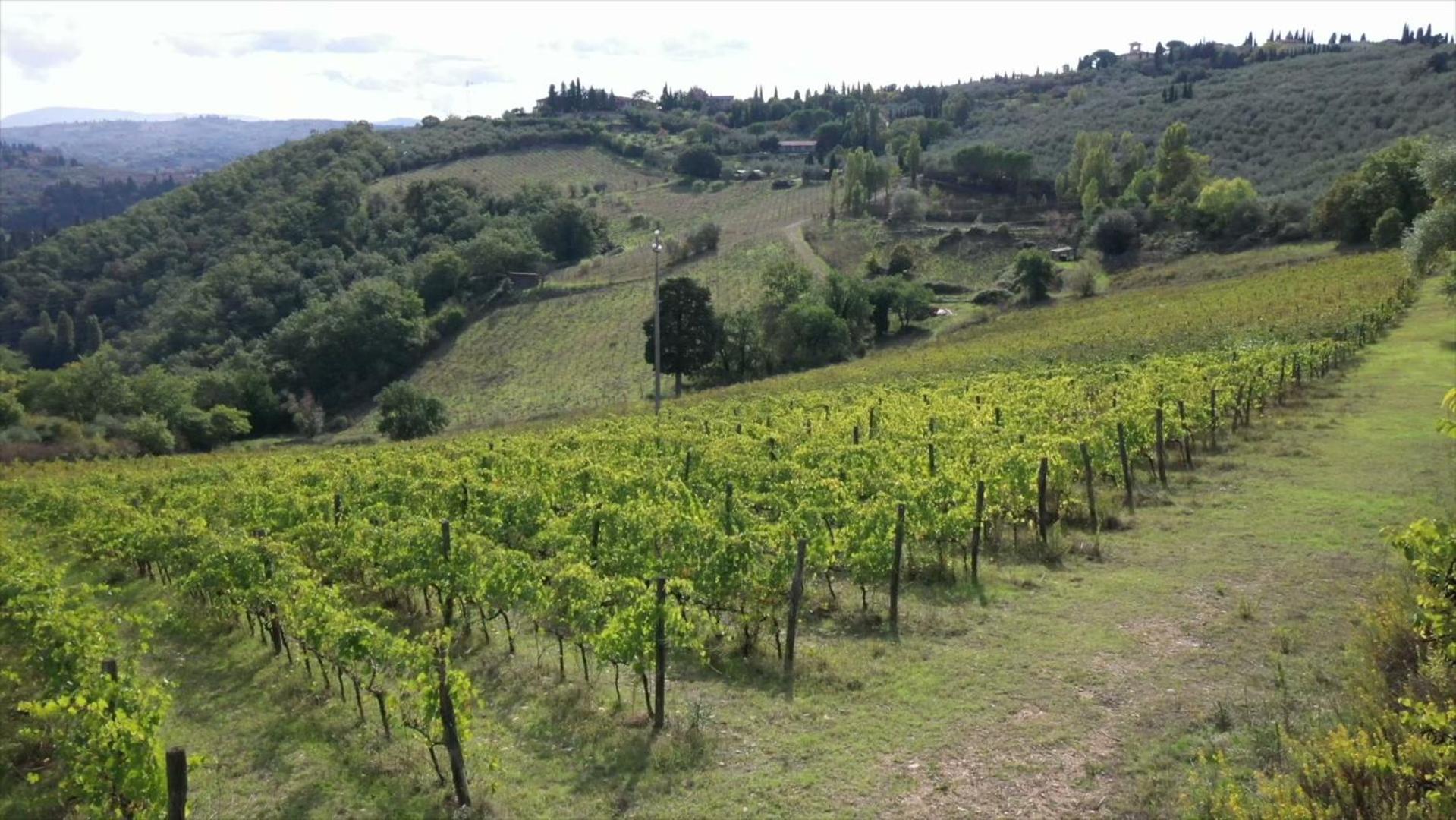 Fattoria Il Milione Agriturismo
