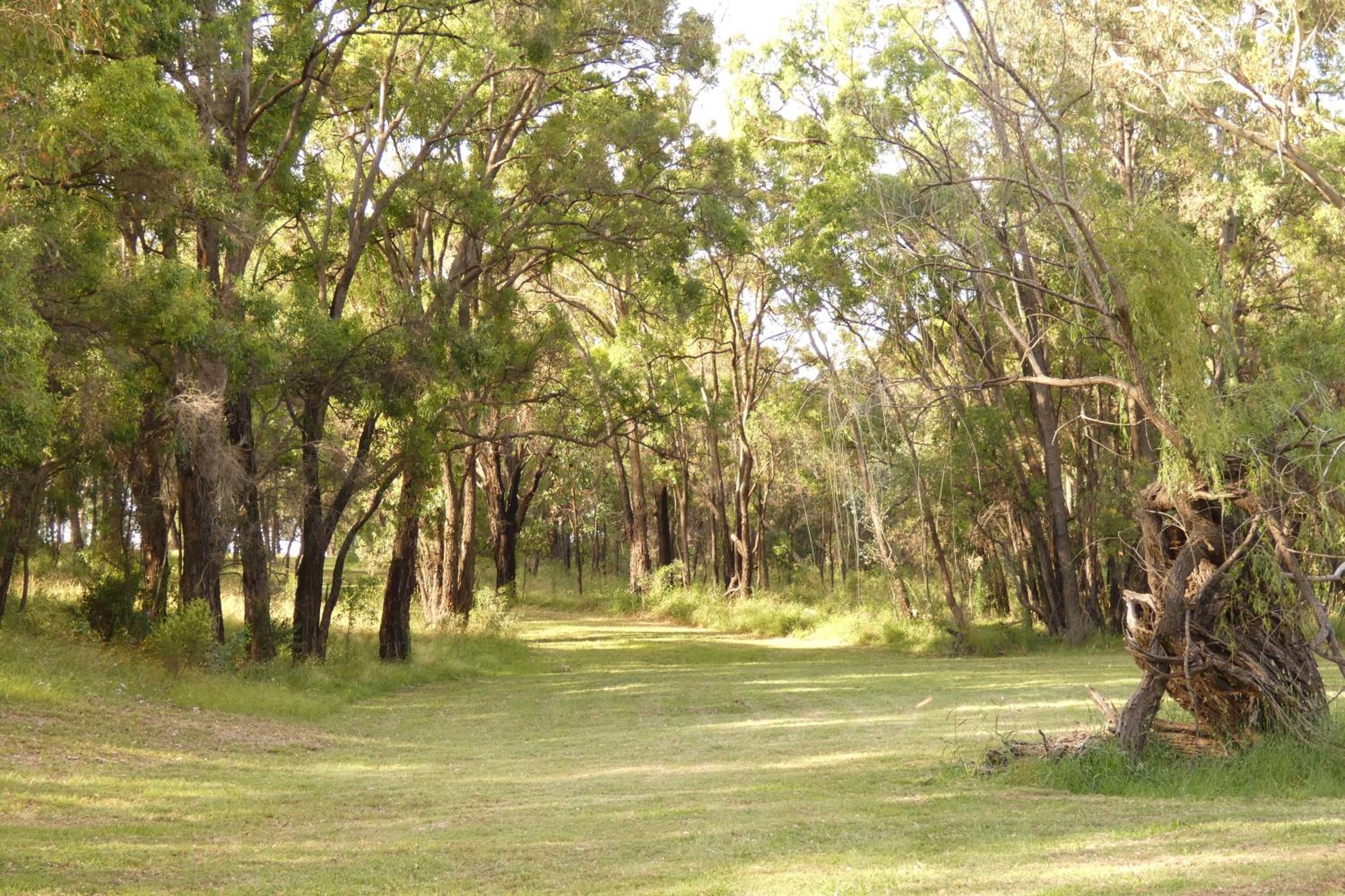 Bandalong Cottages
