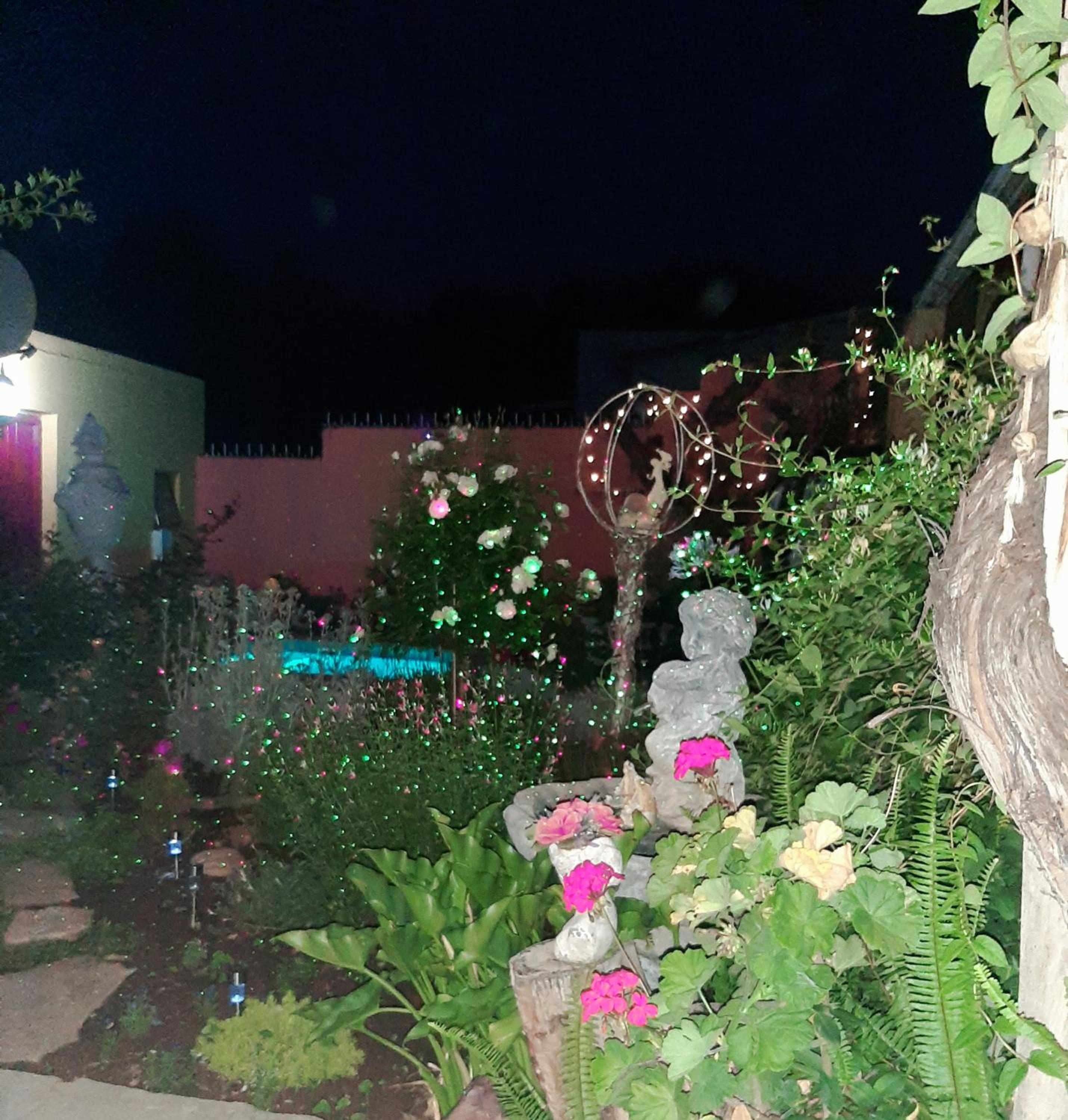 Photo 49