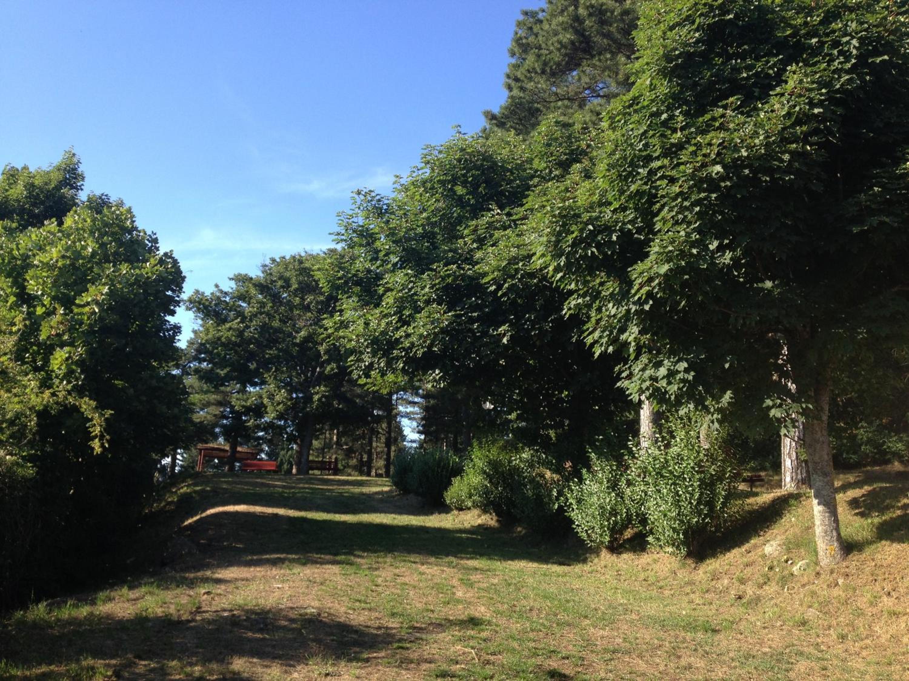 children's play area
