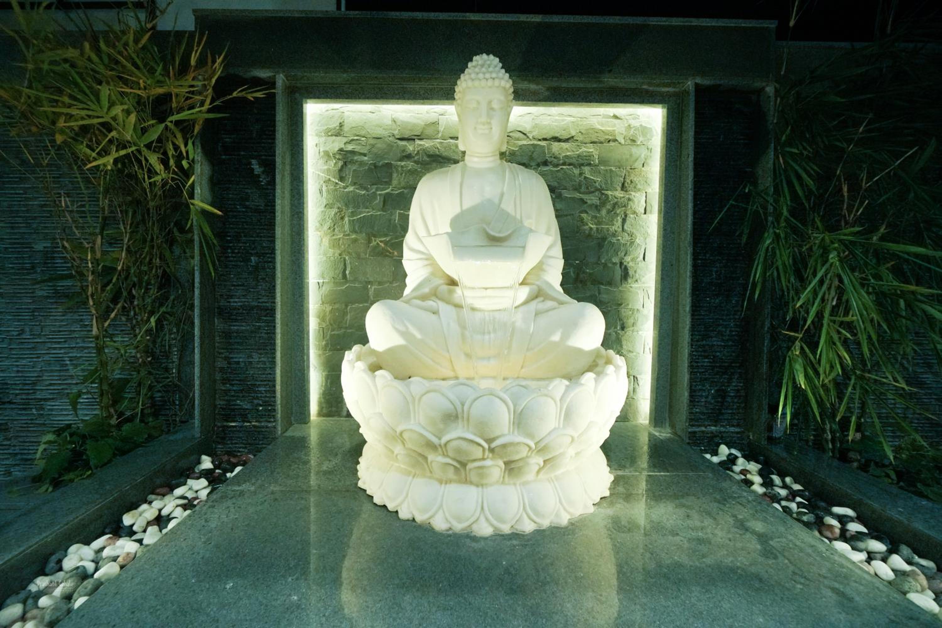 Photo 46