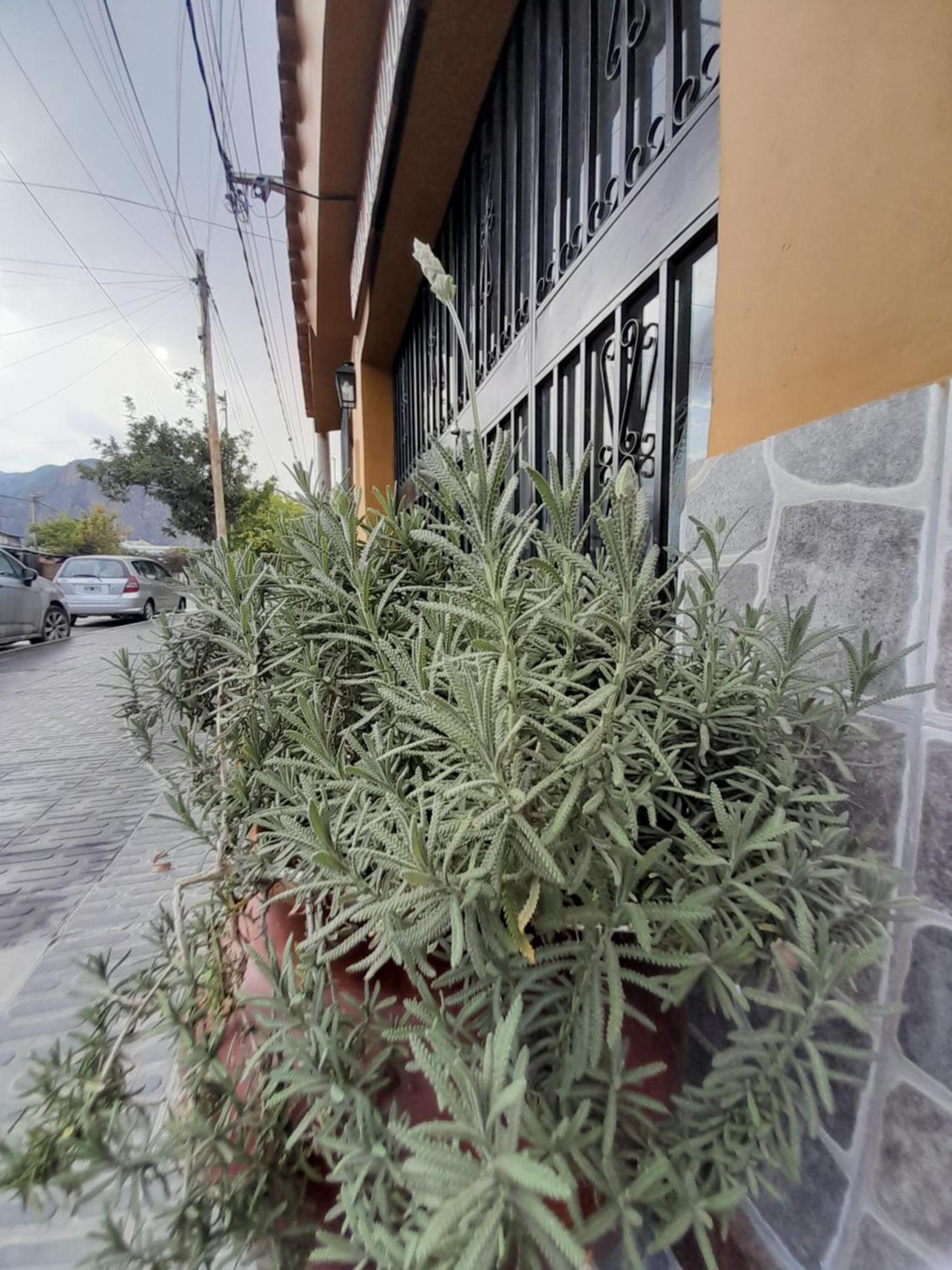 MAMAKU HUASI