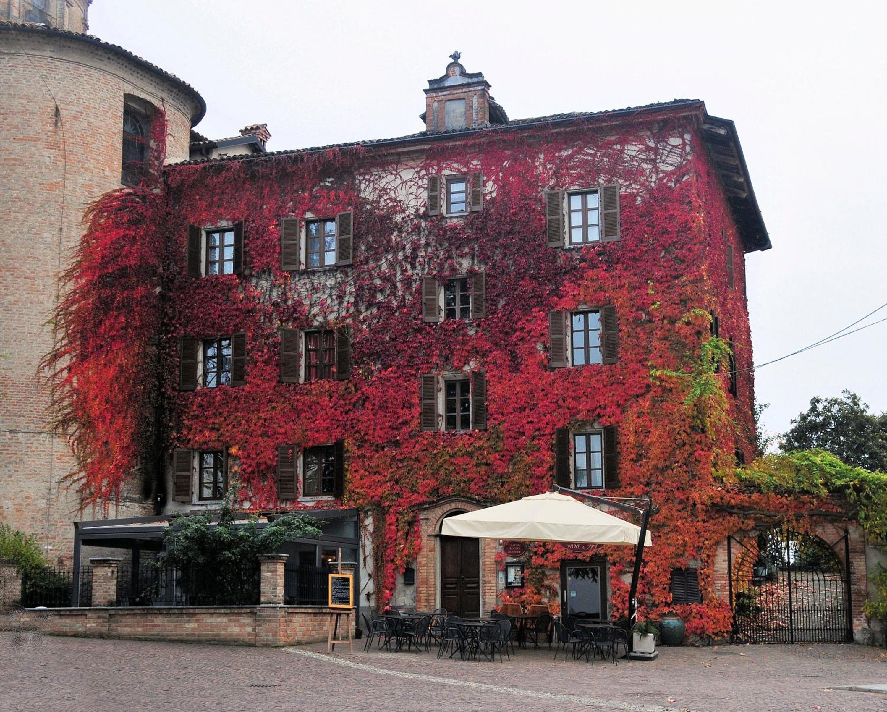 Photo 25
