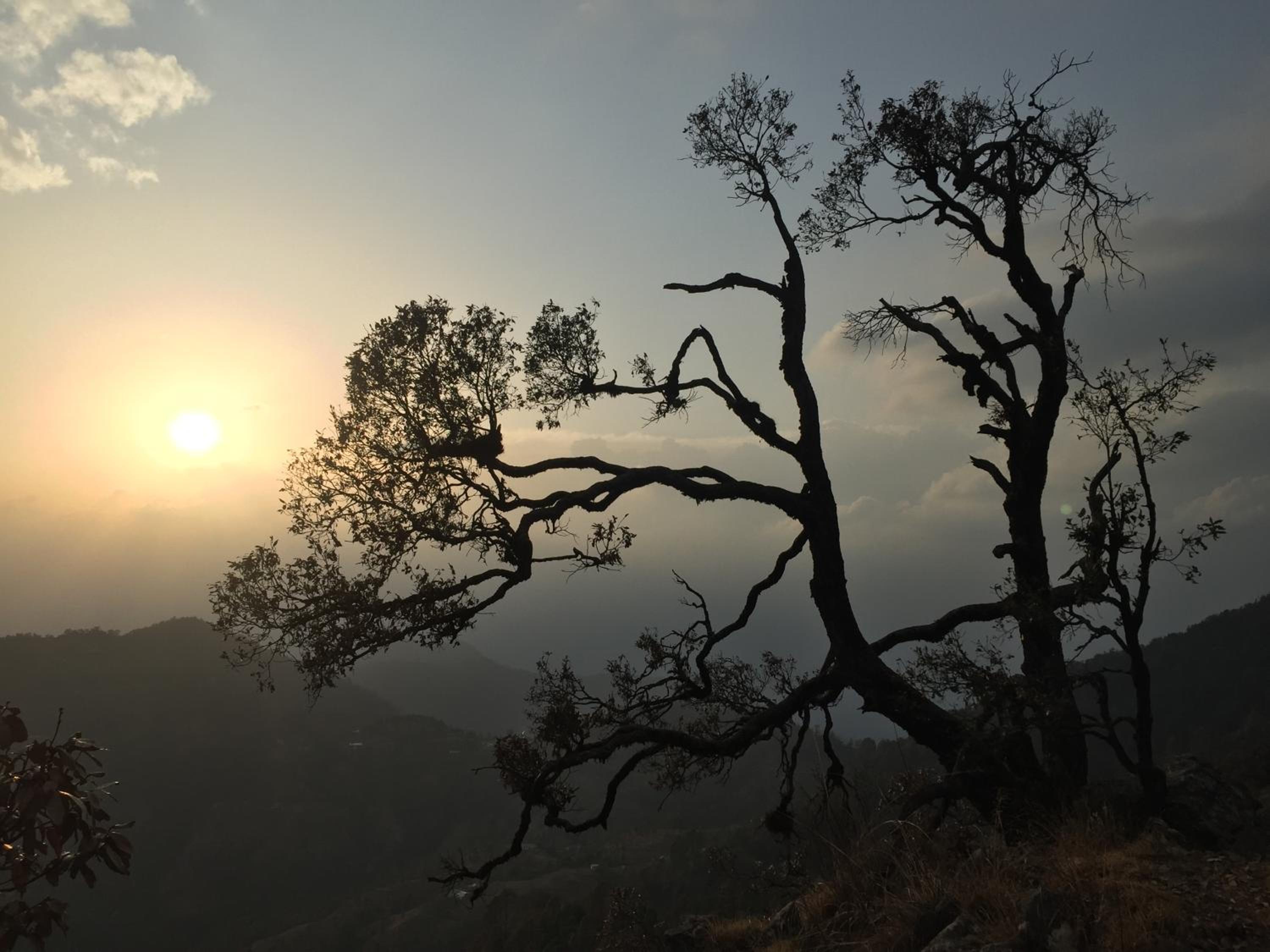 Katyuri Kings Divine Stay- Babaji's cave view 4
