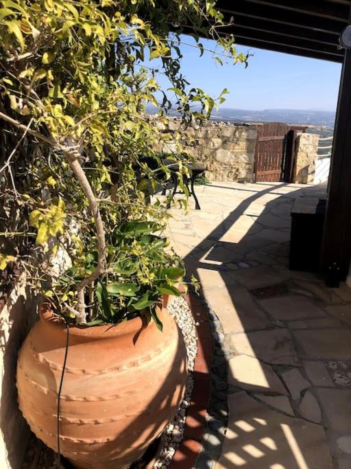 'I Folia' Village house with roof garden and terrace