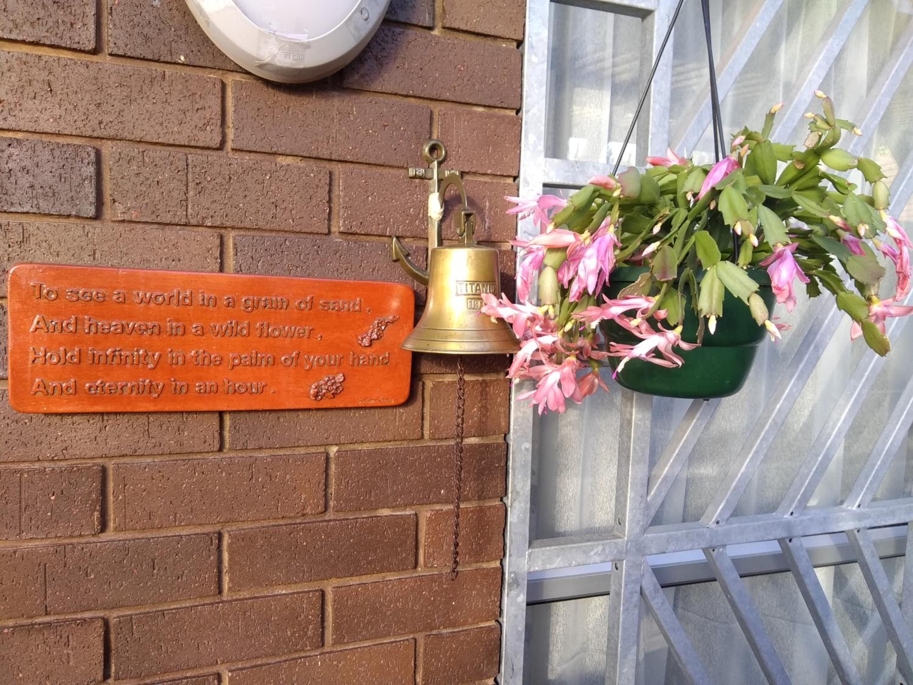Photo 42