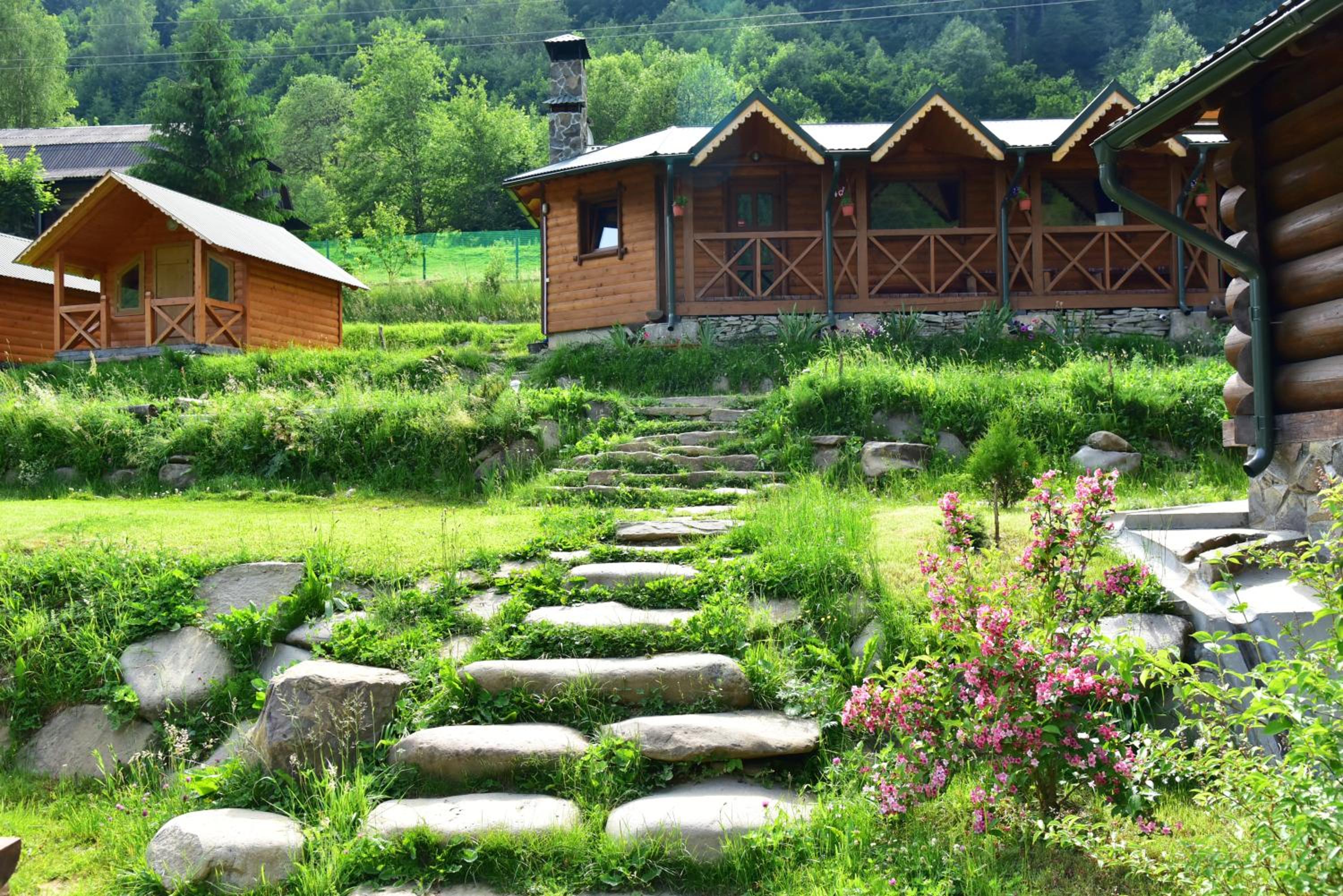 Camp Bilyi Slon view 4
