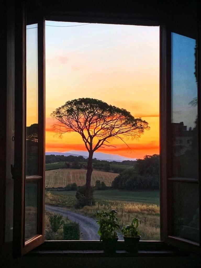 Casa le Rondini Toscana view 4