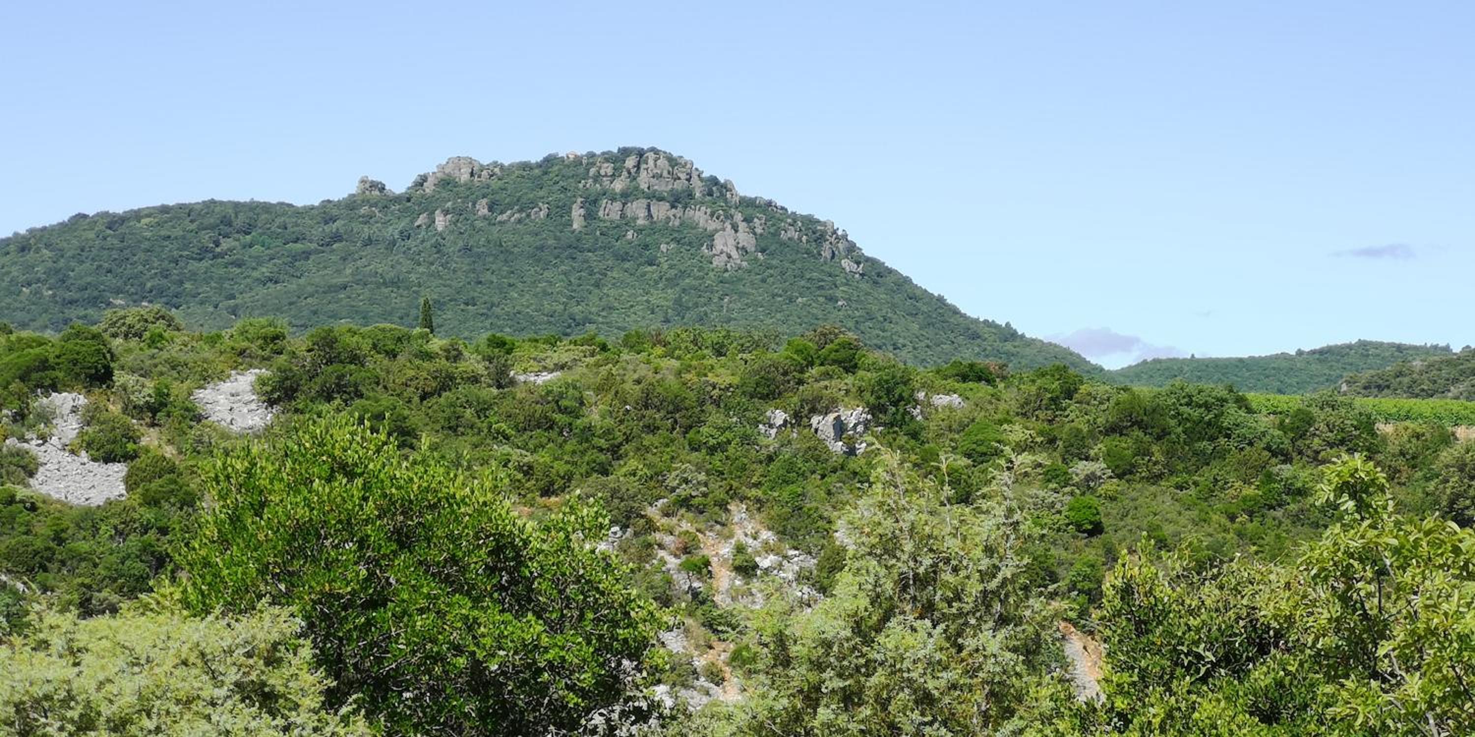 Photo 25