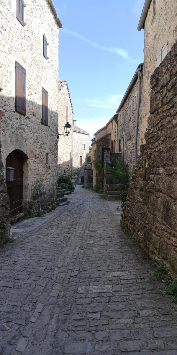 Photo 46