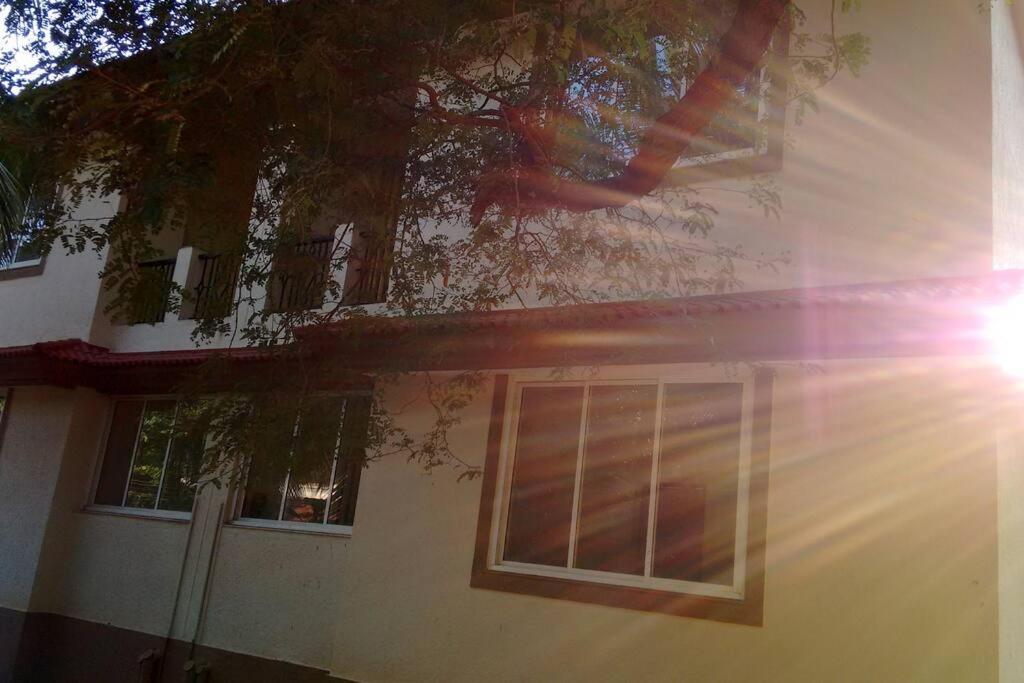 Photo 30