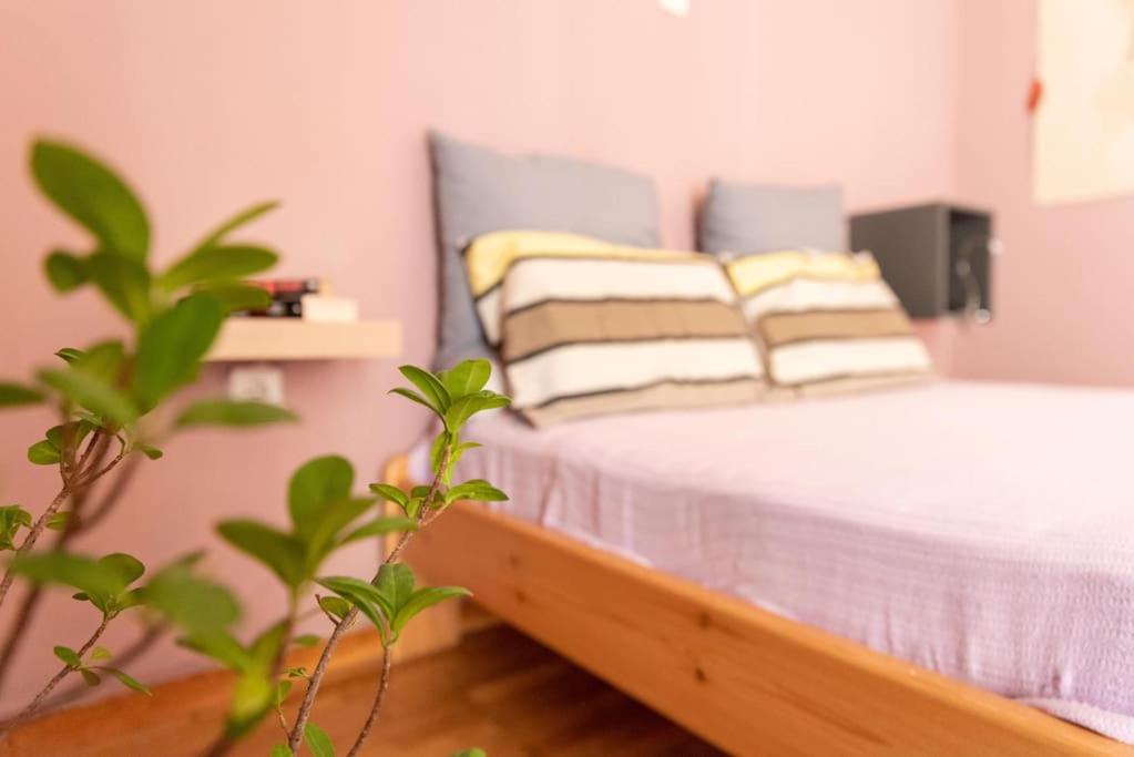 Nice Apartment Near City Center