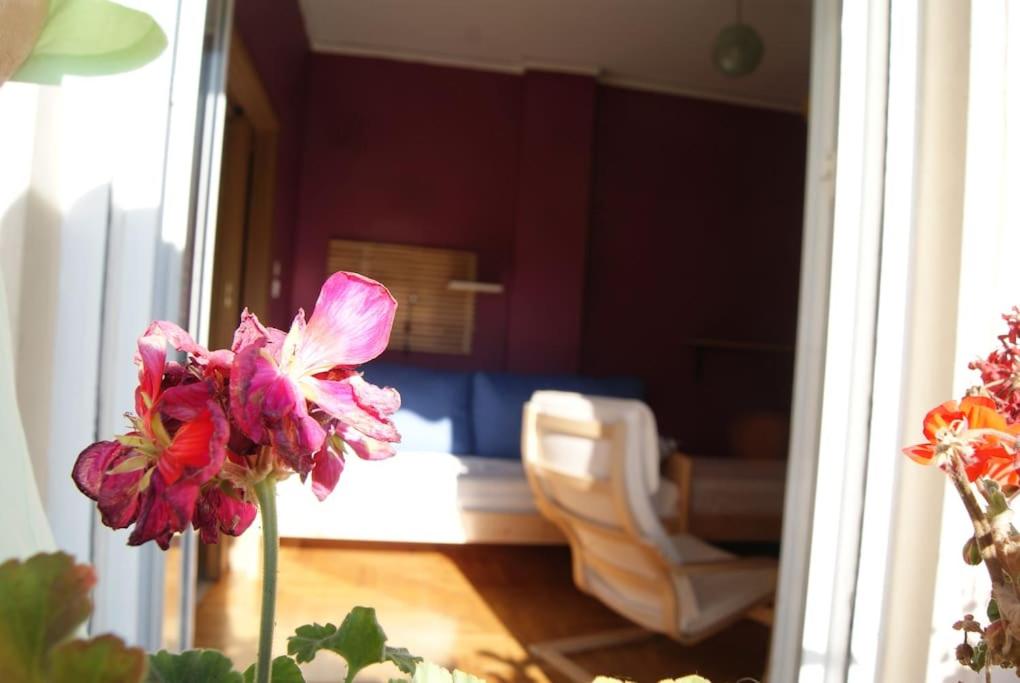 Nice Apartment Near City Center