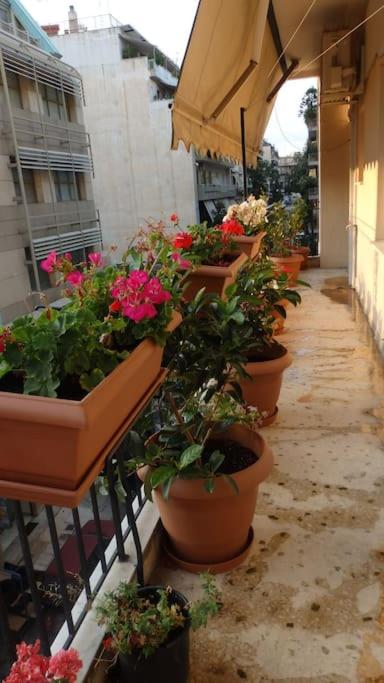 Nice Apartment Near City Center