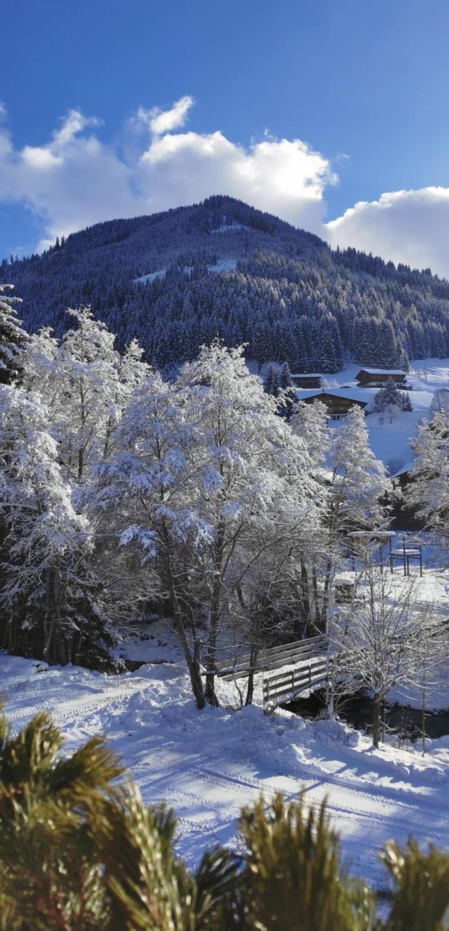 Alpbach Loft