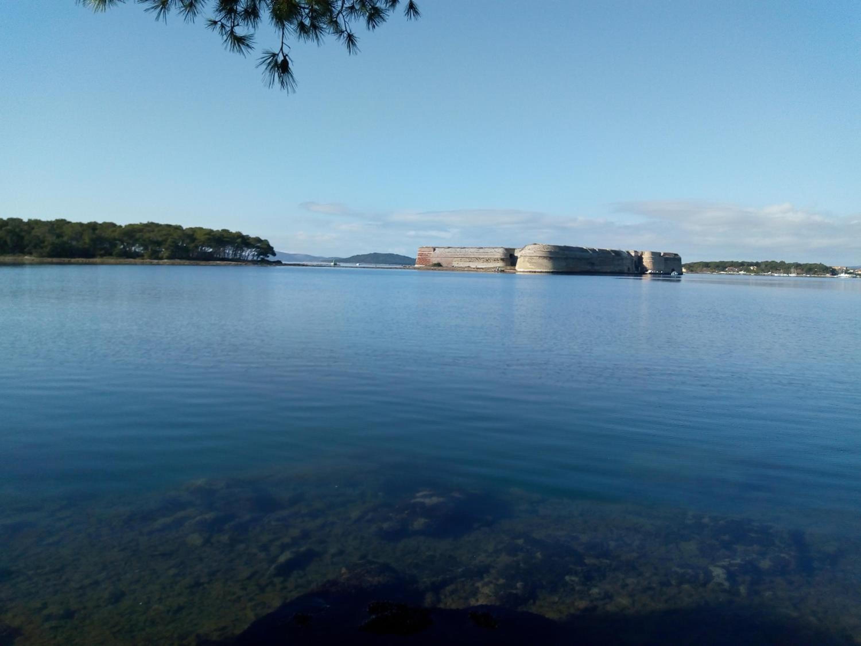Mladen Vodice