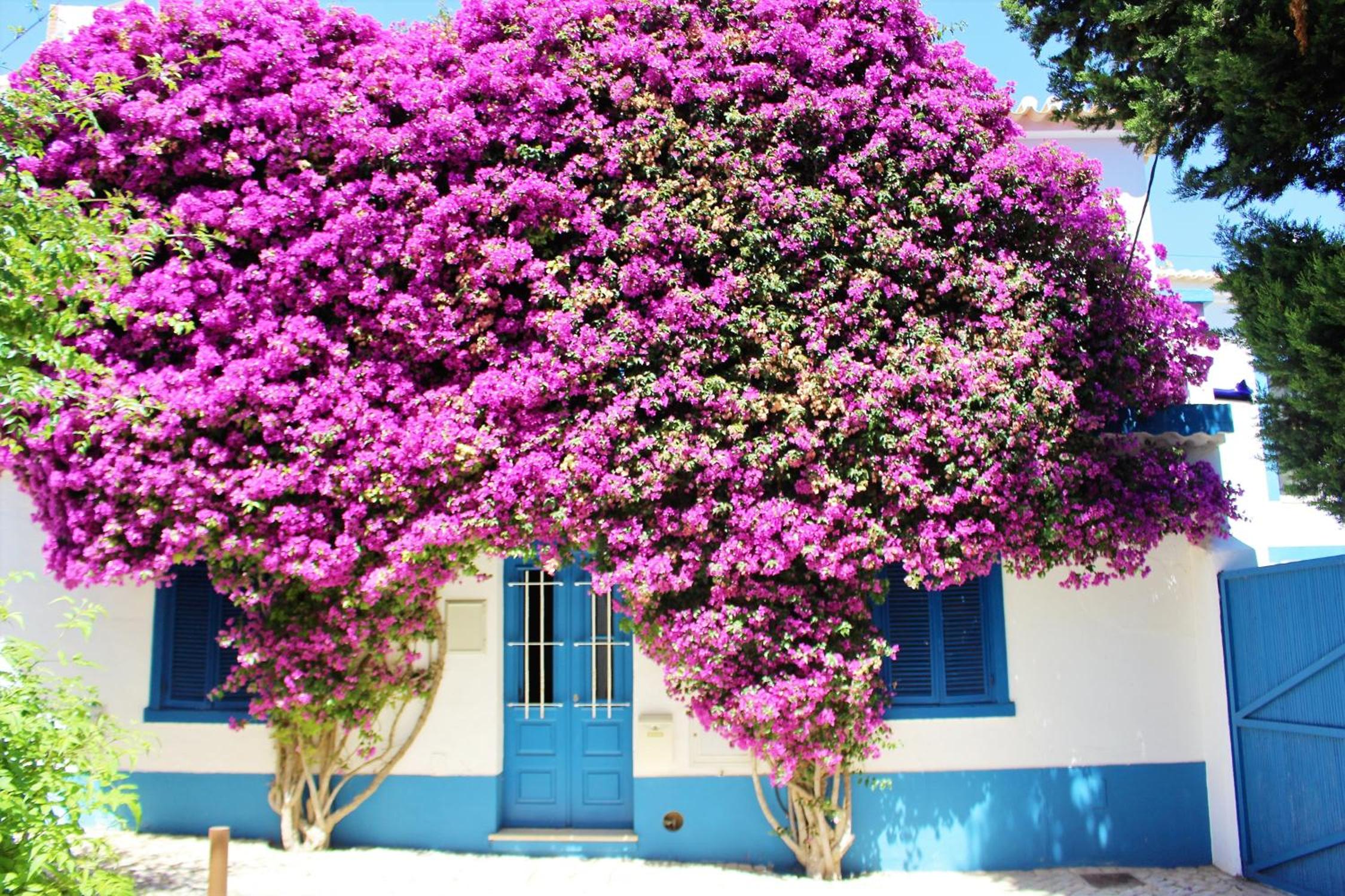 Burgau Charming House Villa