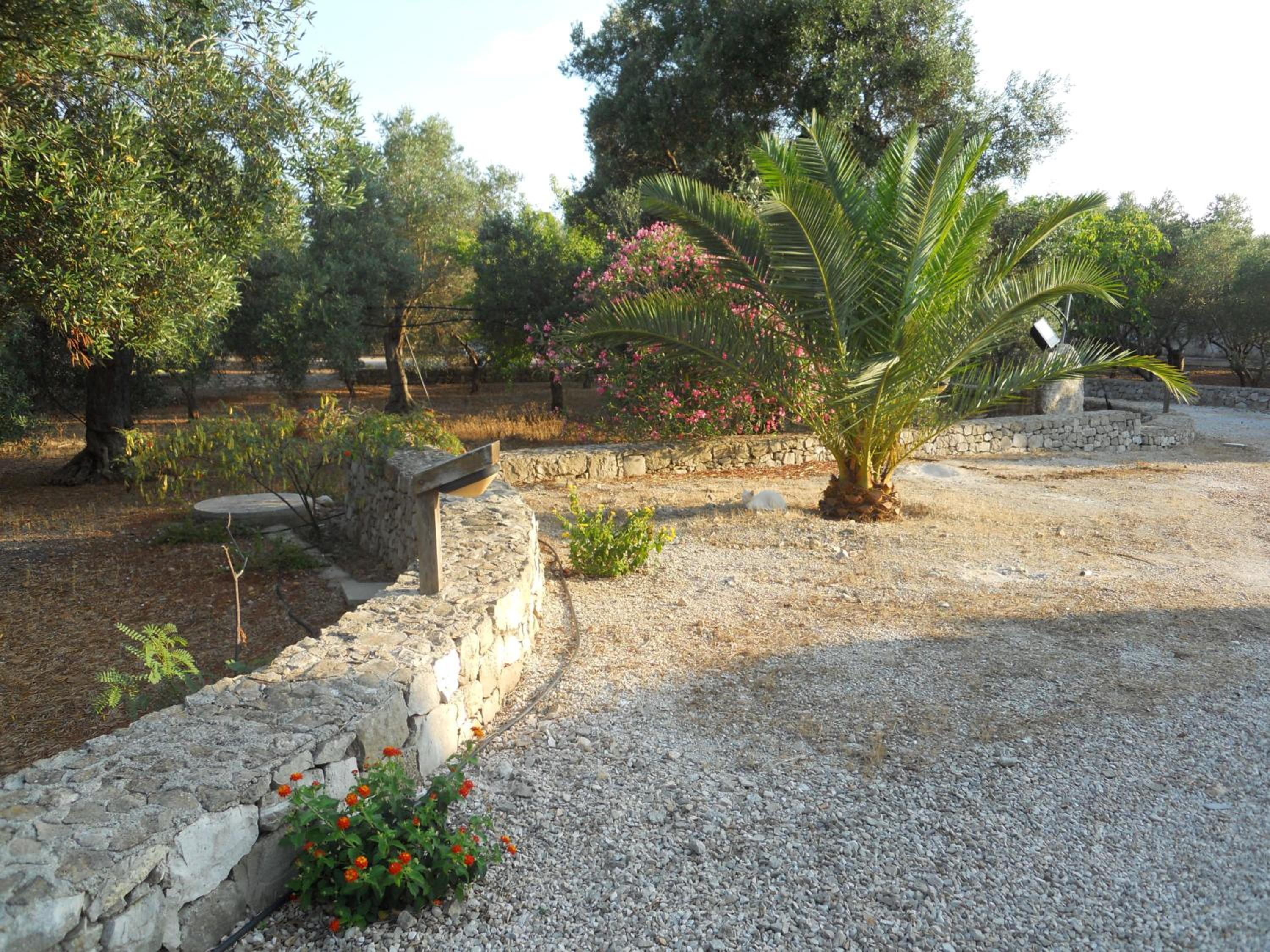 Photo 42