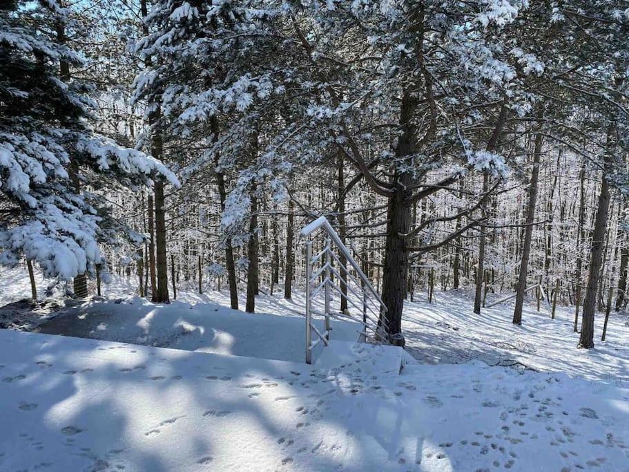 Behagliches Cottage mit Kamin mitten im Wald