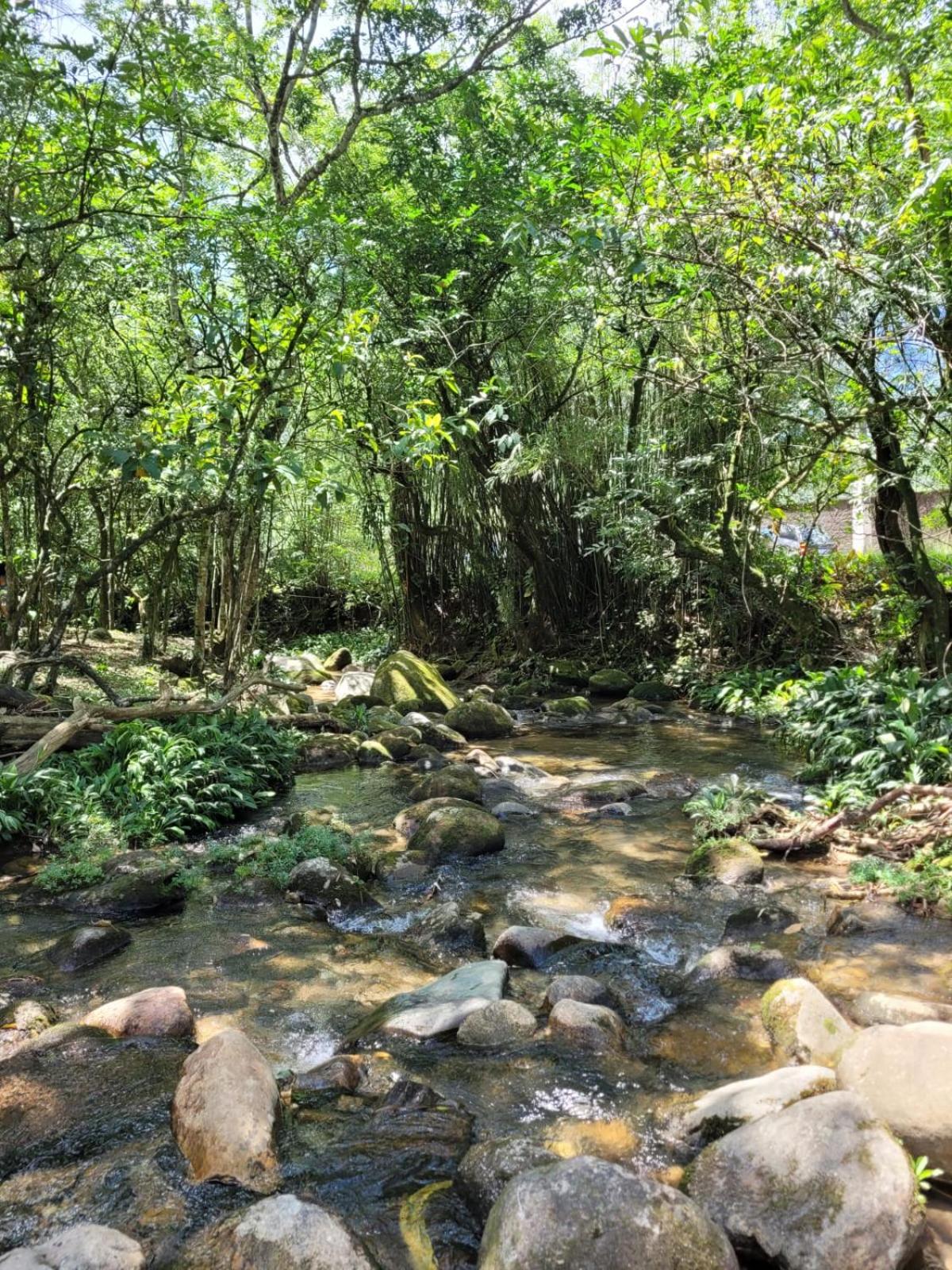 Pousada Camping dos Ypês