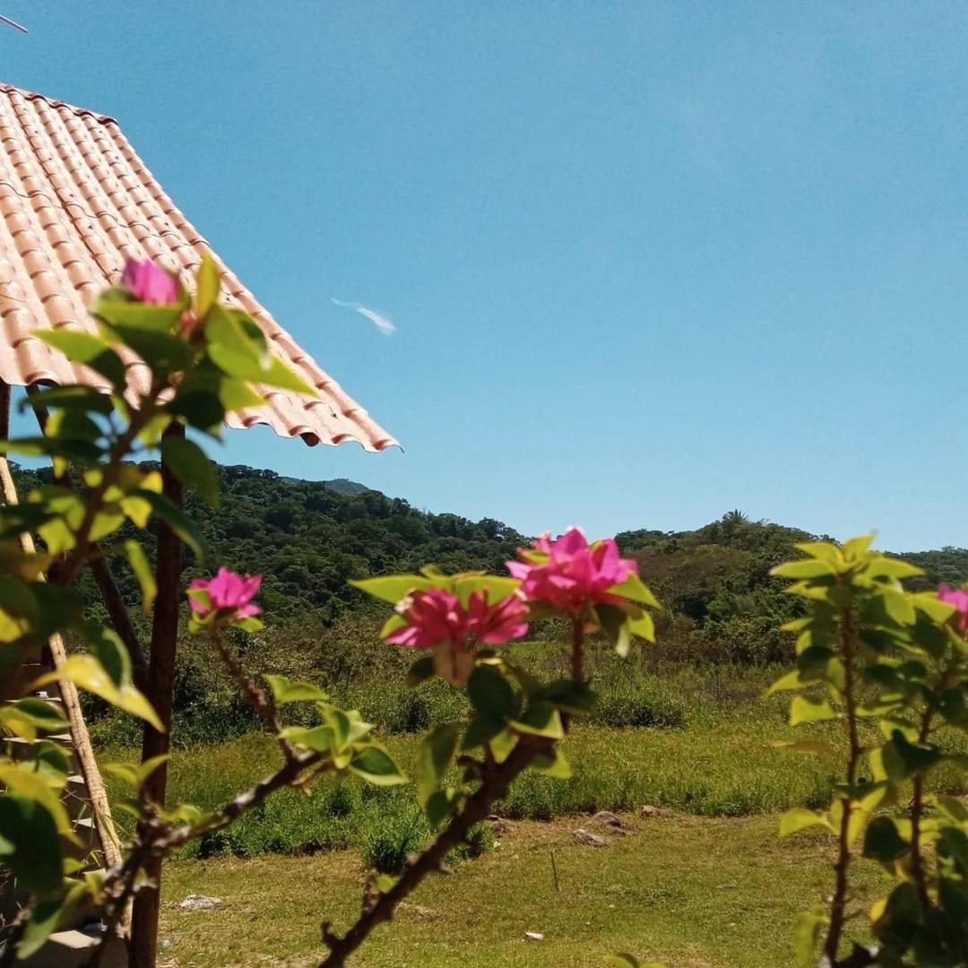 Pousada Camping dos Ypês