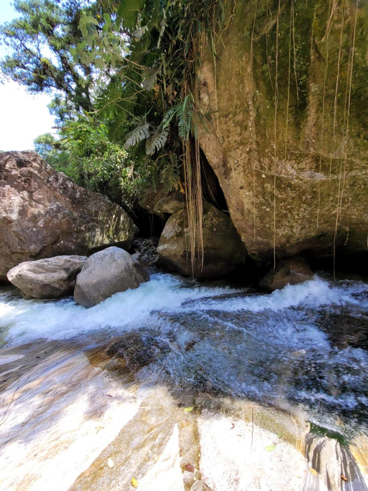 Pousada Camping dos Ypês