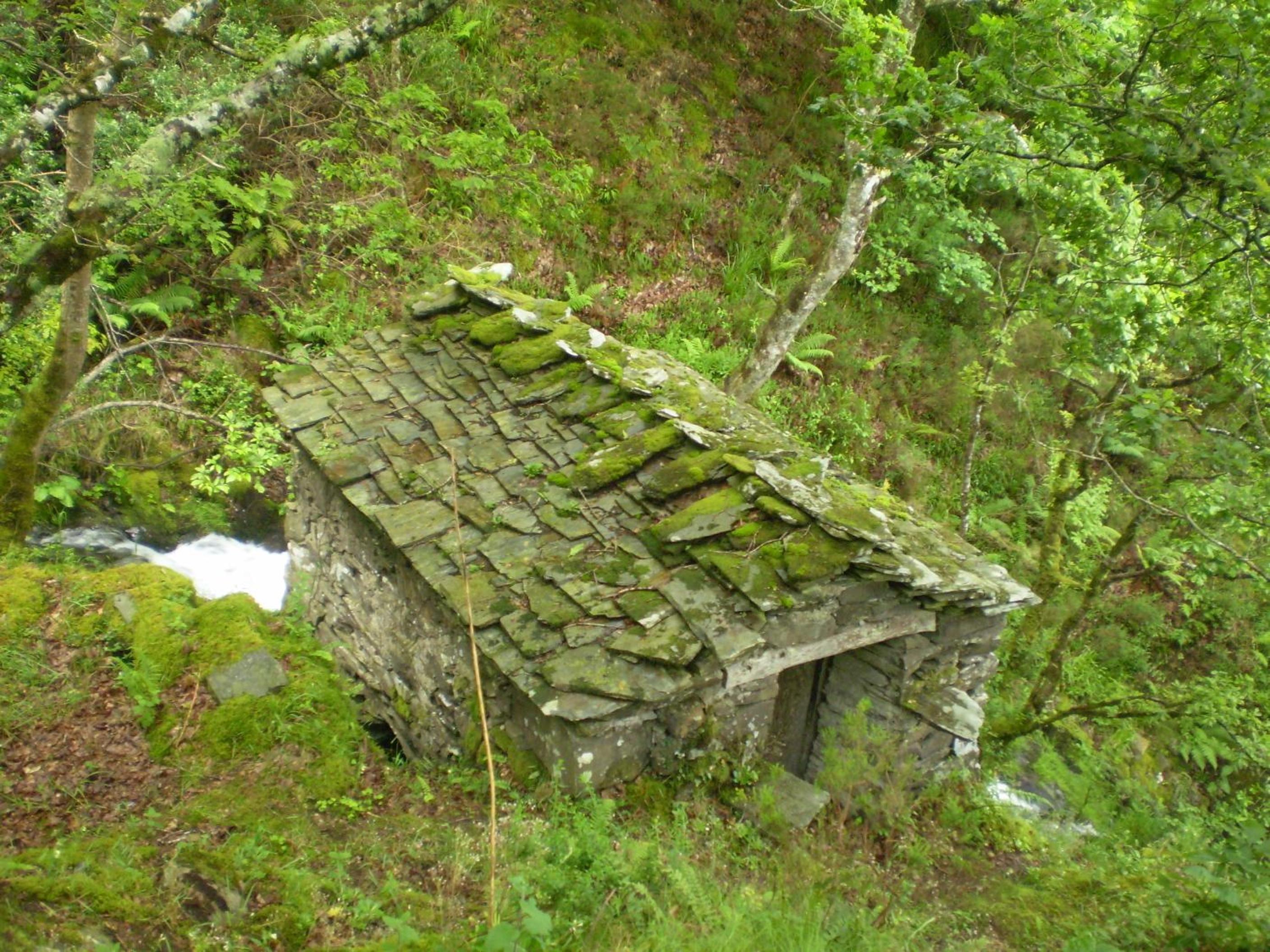 Photo 8
