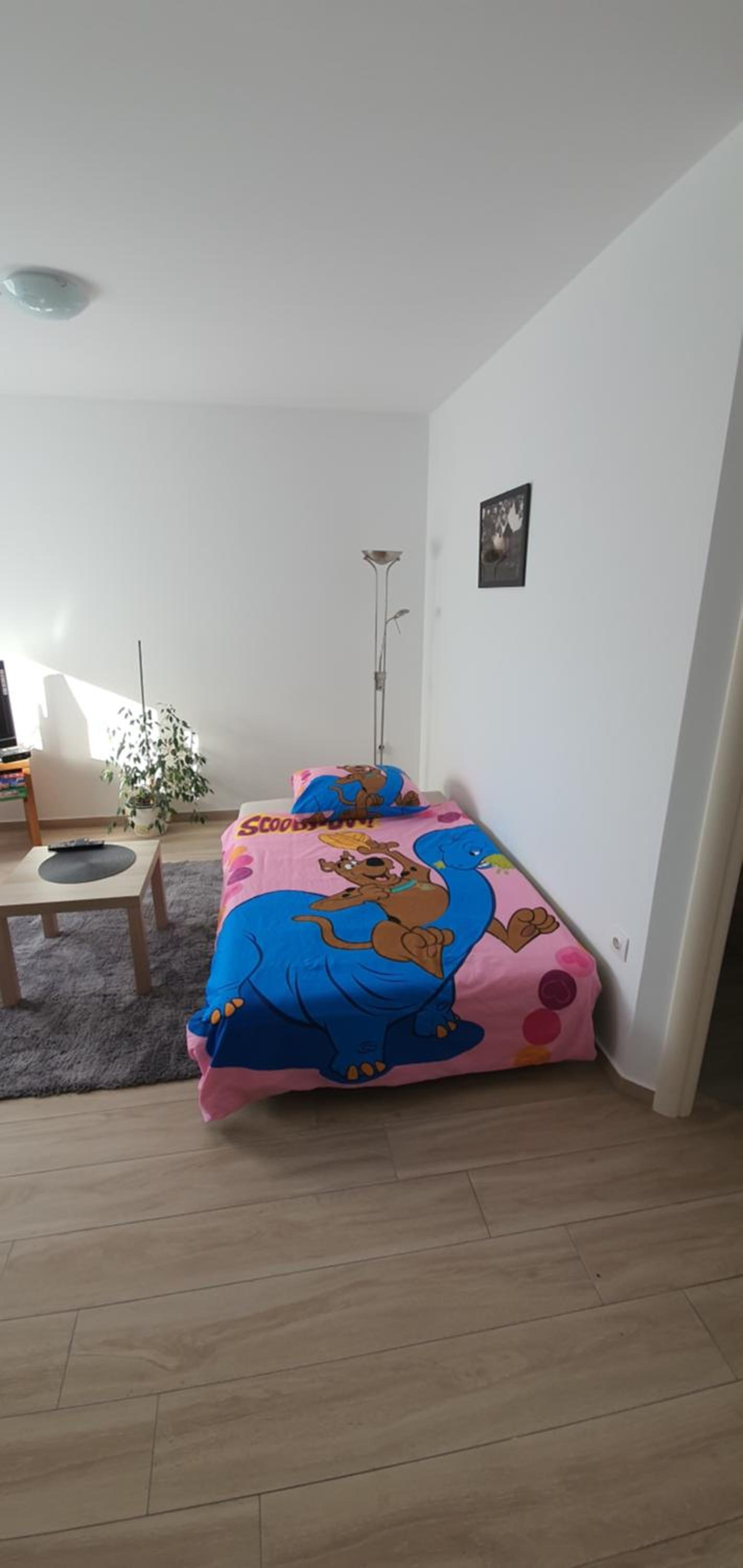 Photo 43