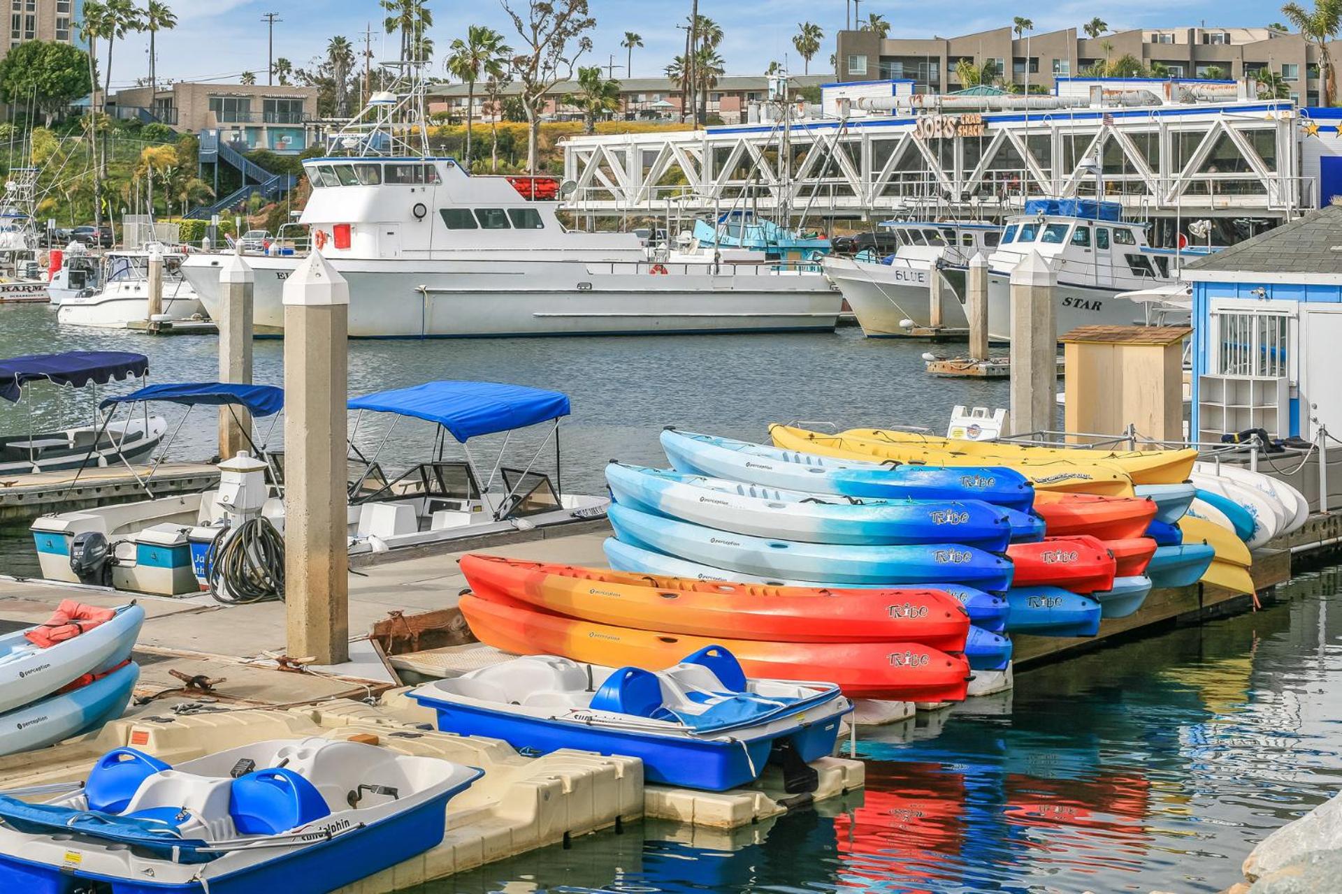 Photo 46