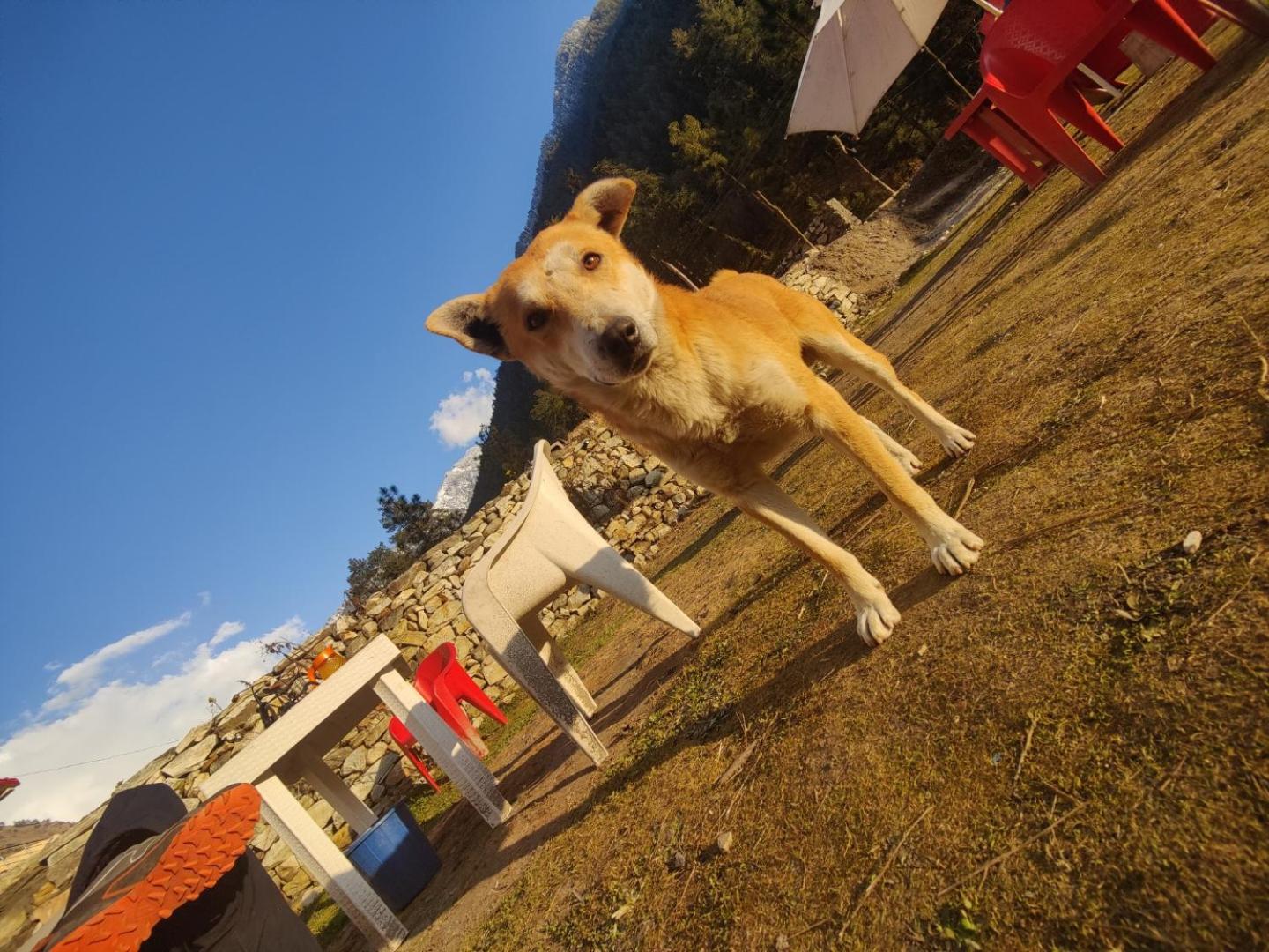 Photo 46