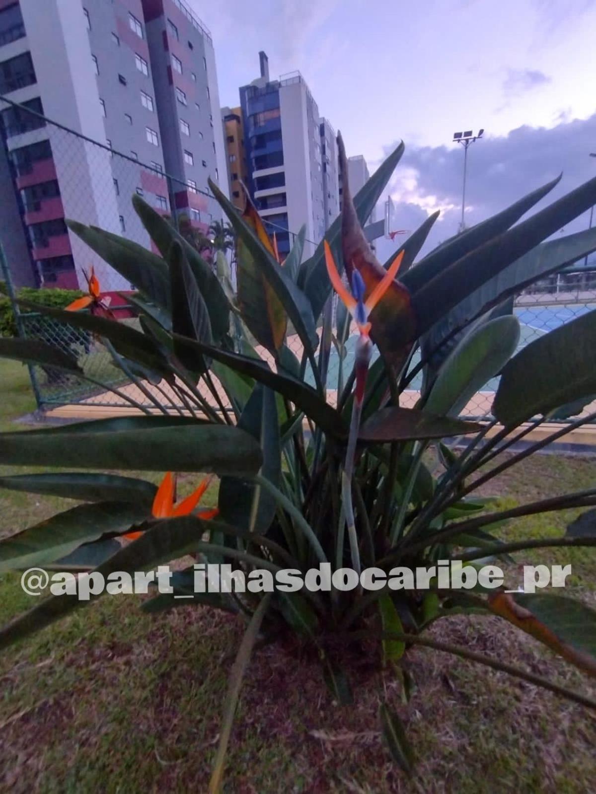 Apto Cond Ilhas do Caribe - Pr - Beira Mar