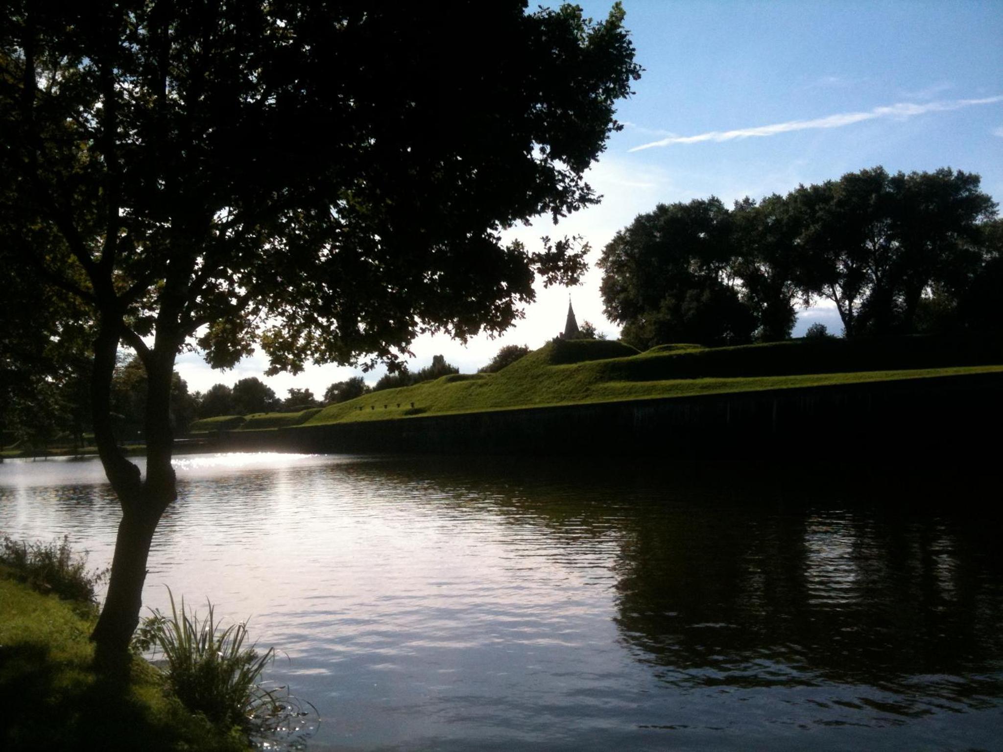 Photo 41