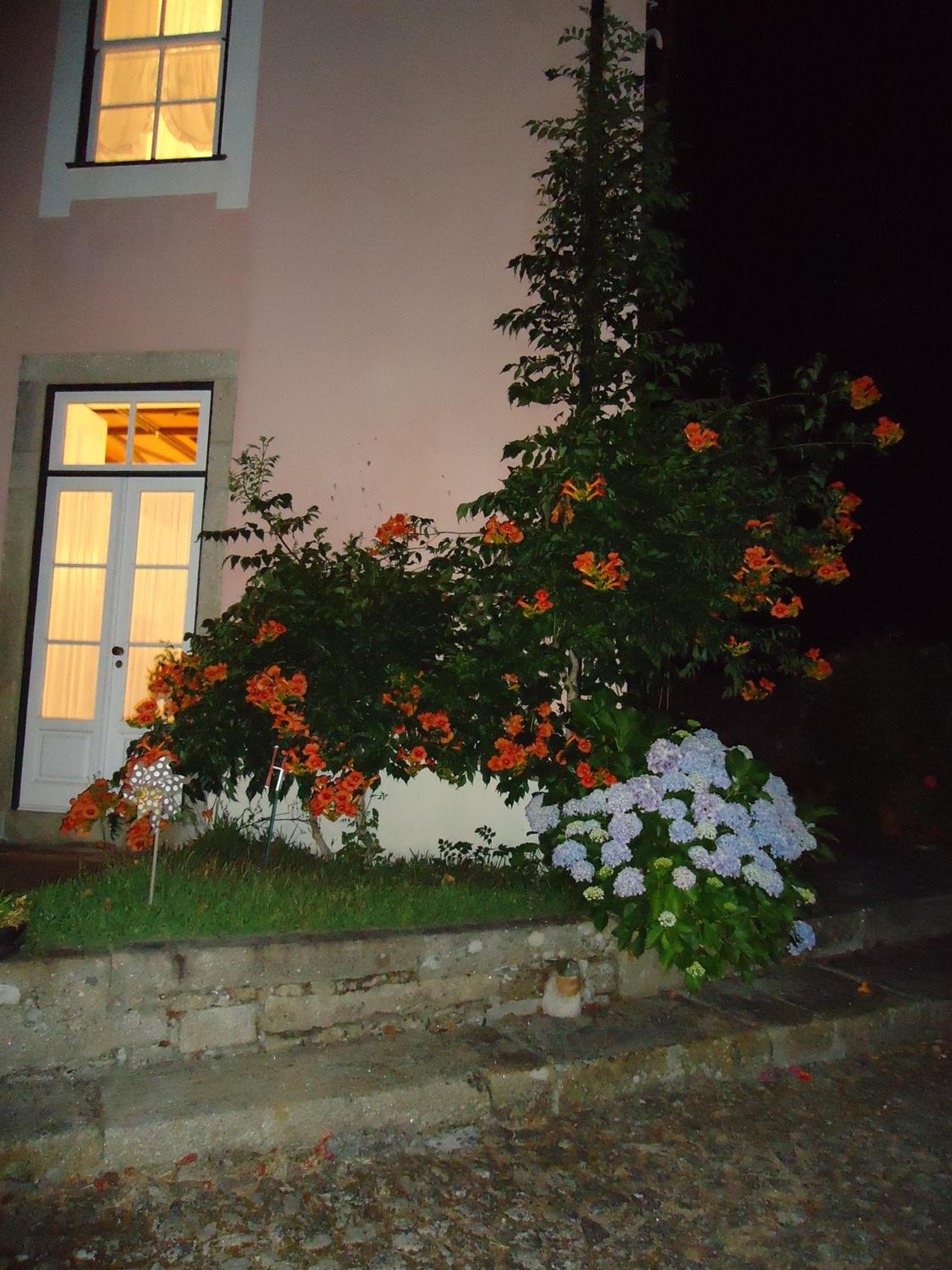 Photo 35