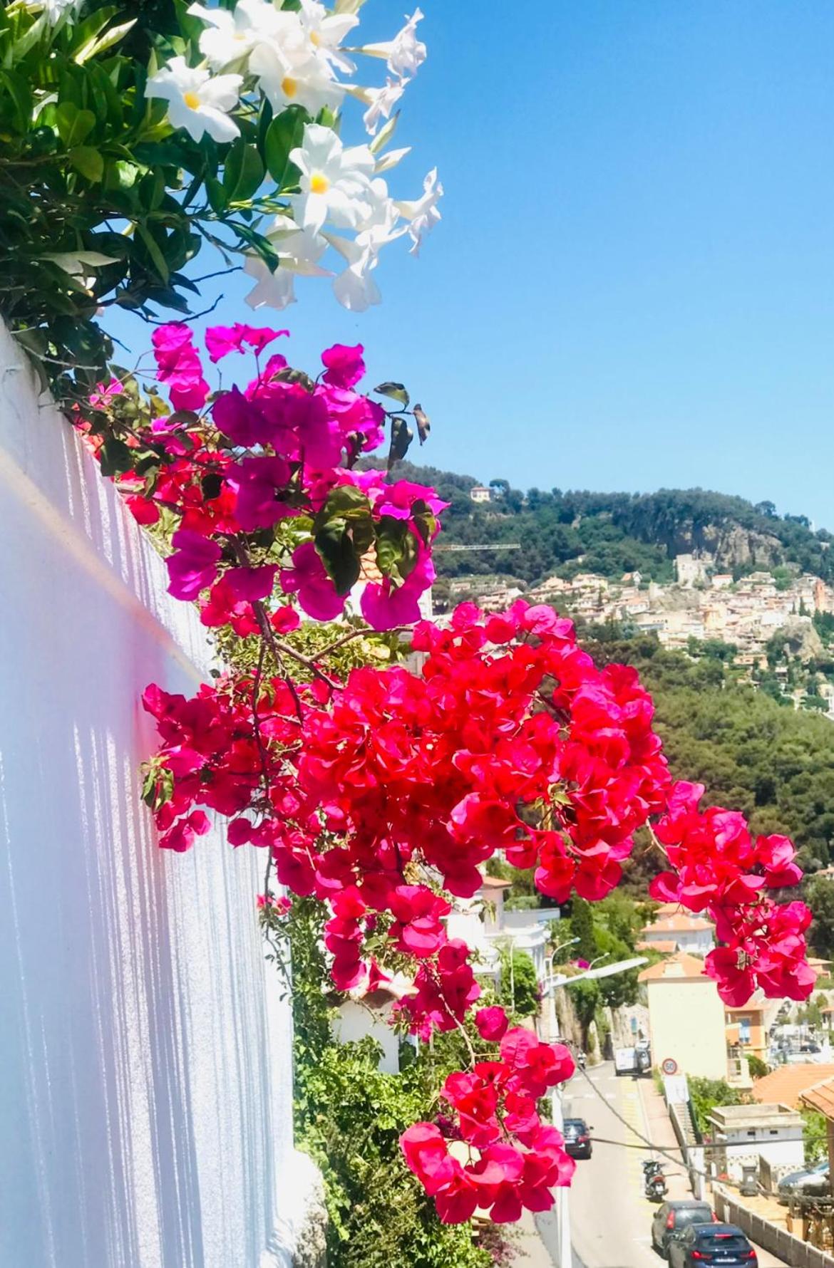 Les Lilas, photo 70