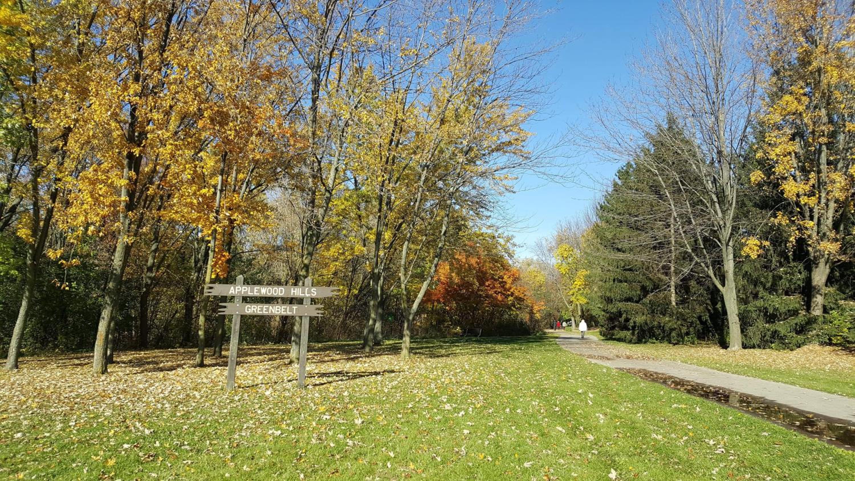 Comfort Stays near Toronto Airport