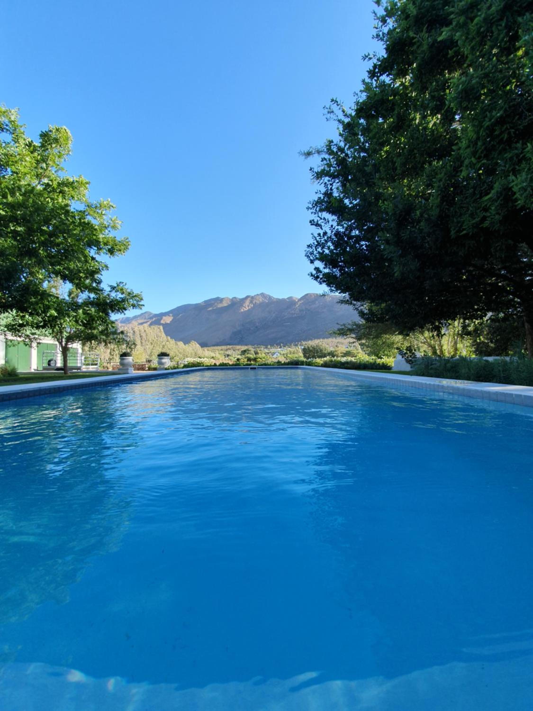 Klein Nektar Wine & Olive Estate view 4