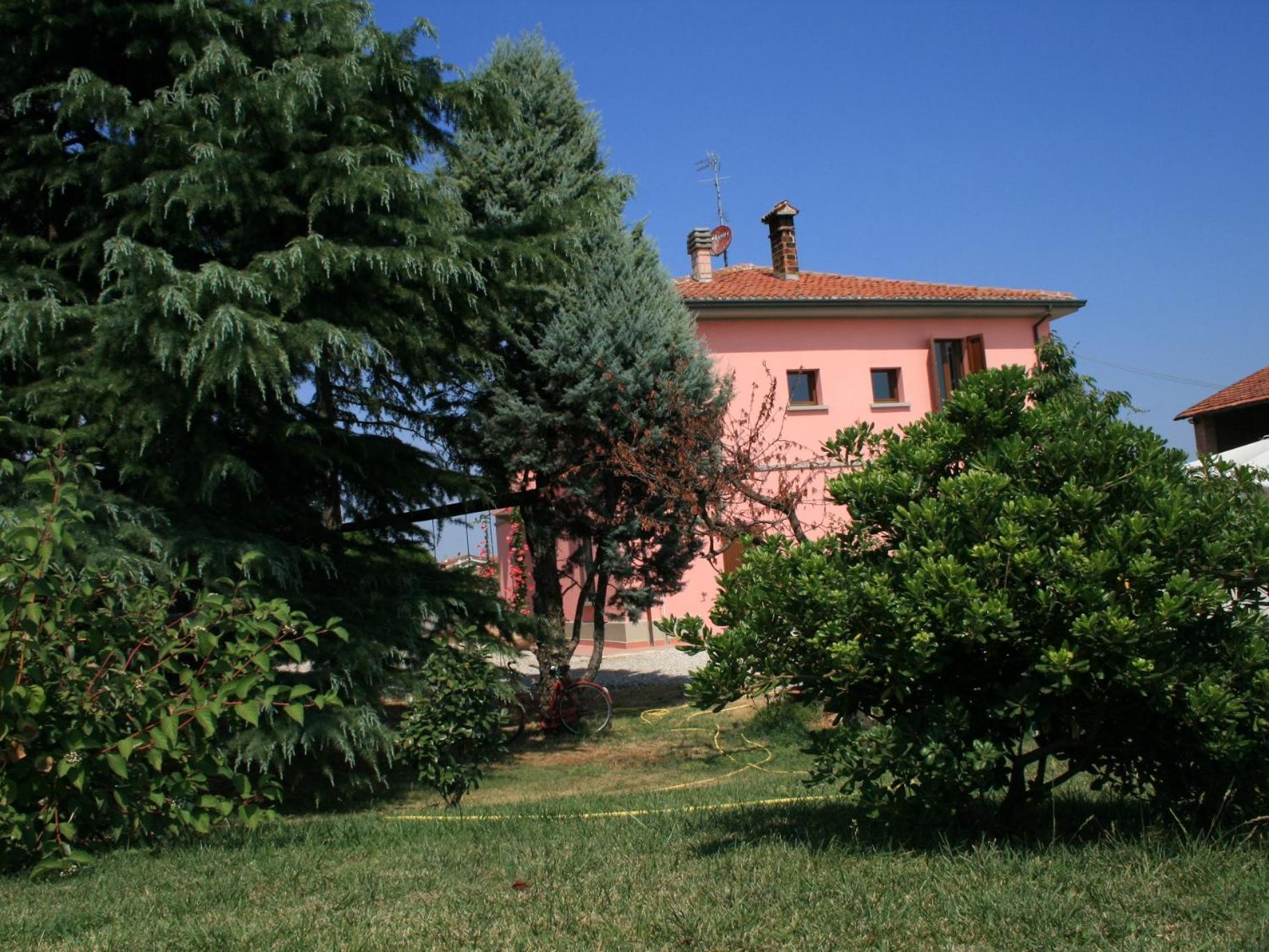 Photo 31