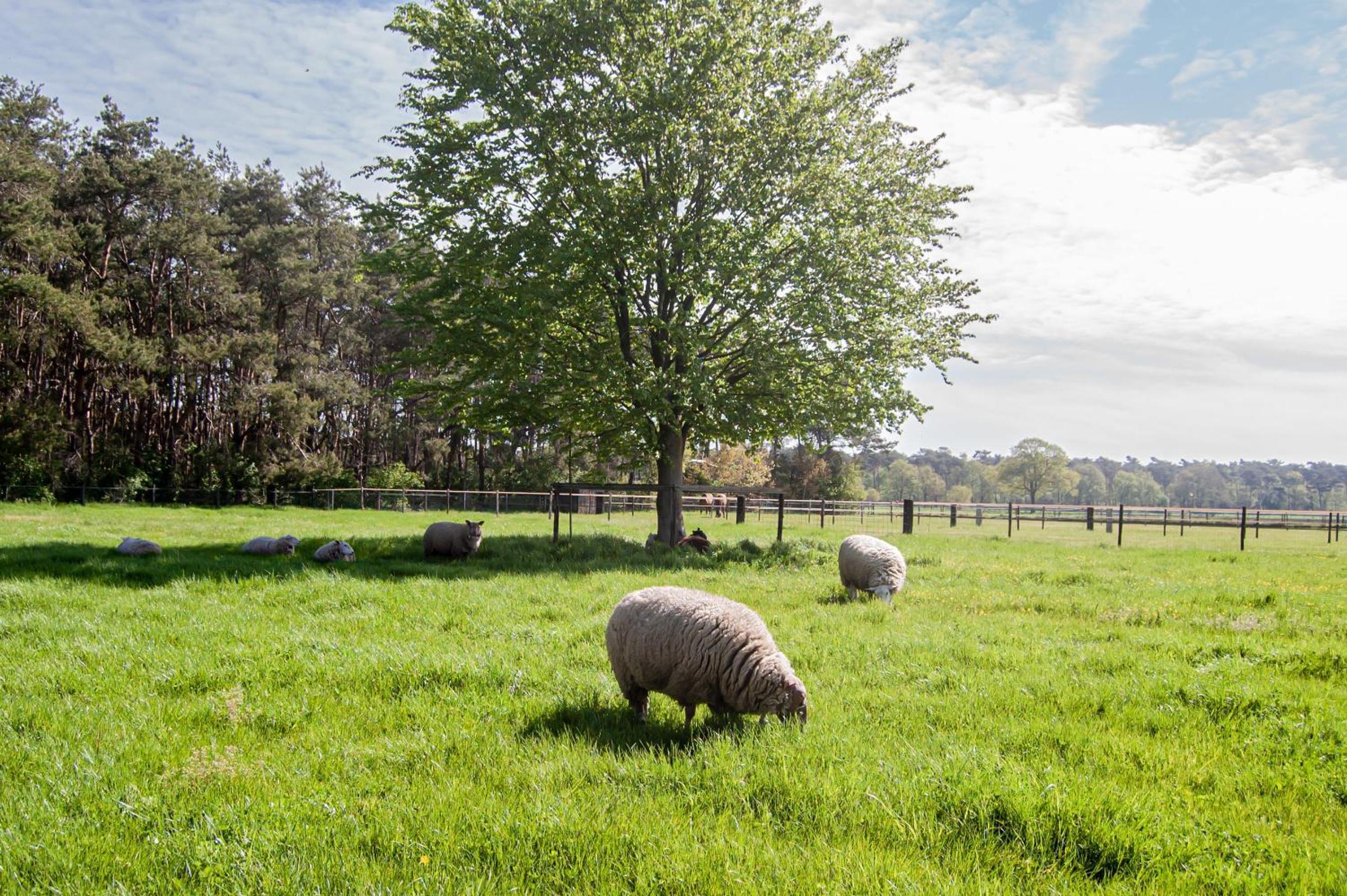 LOGIES Tuin der Zinnen