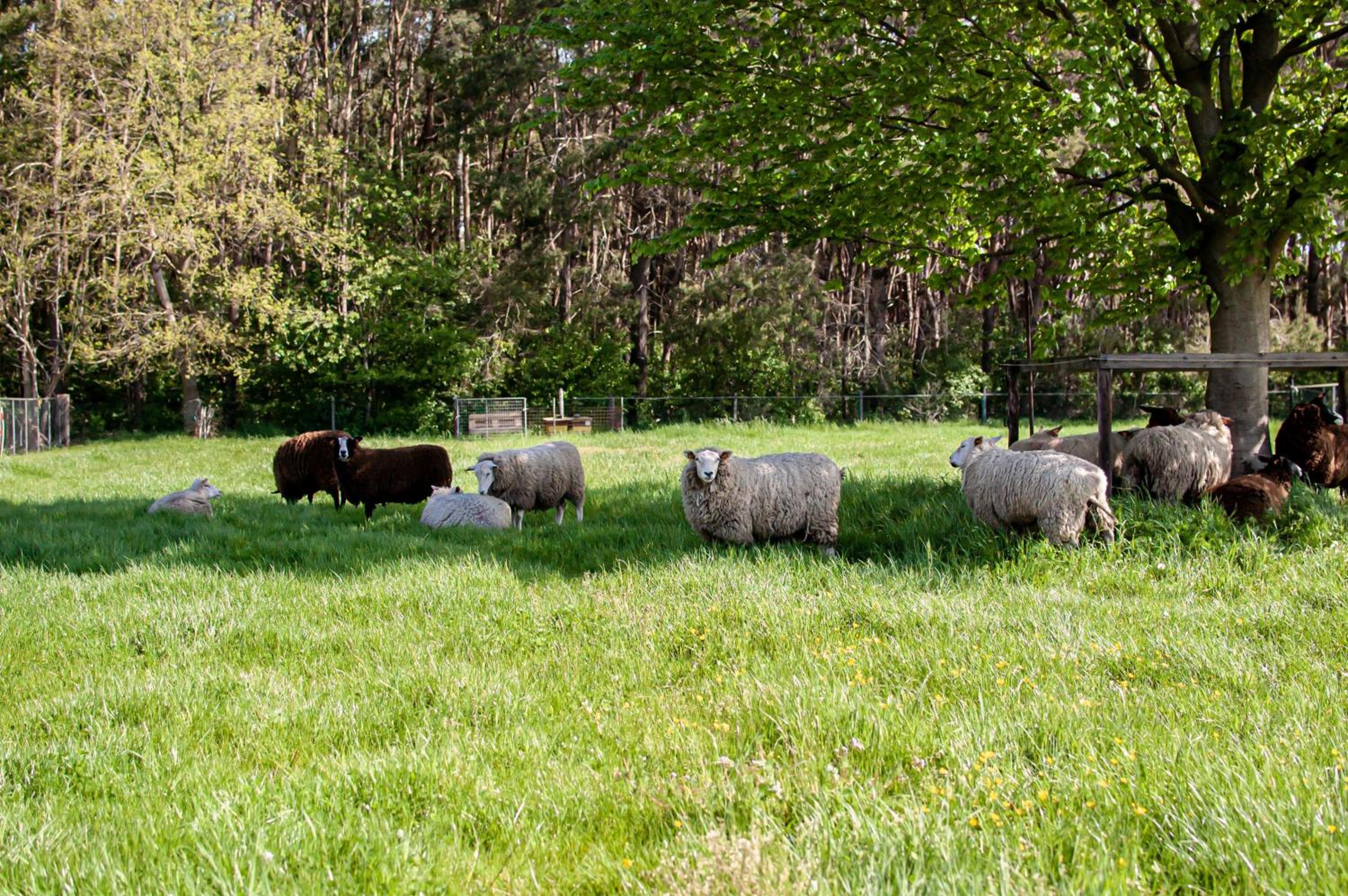 LOGIES Tuin der Zinnen