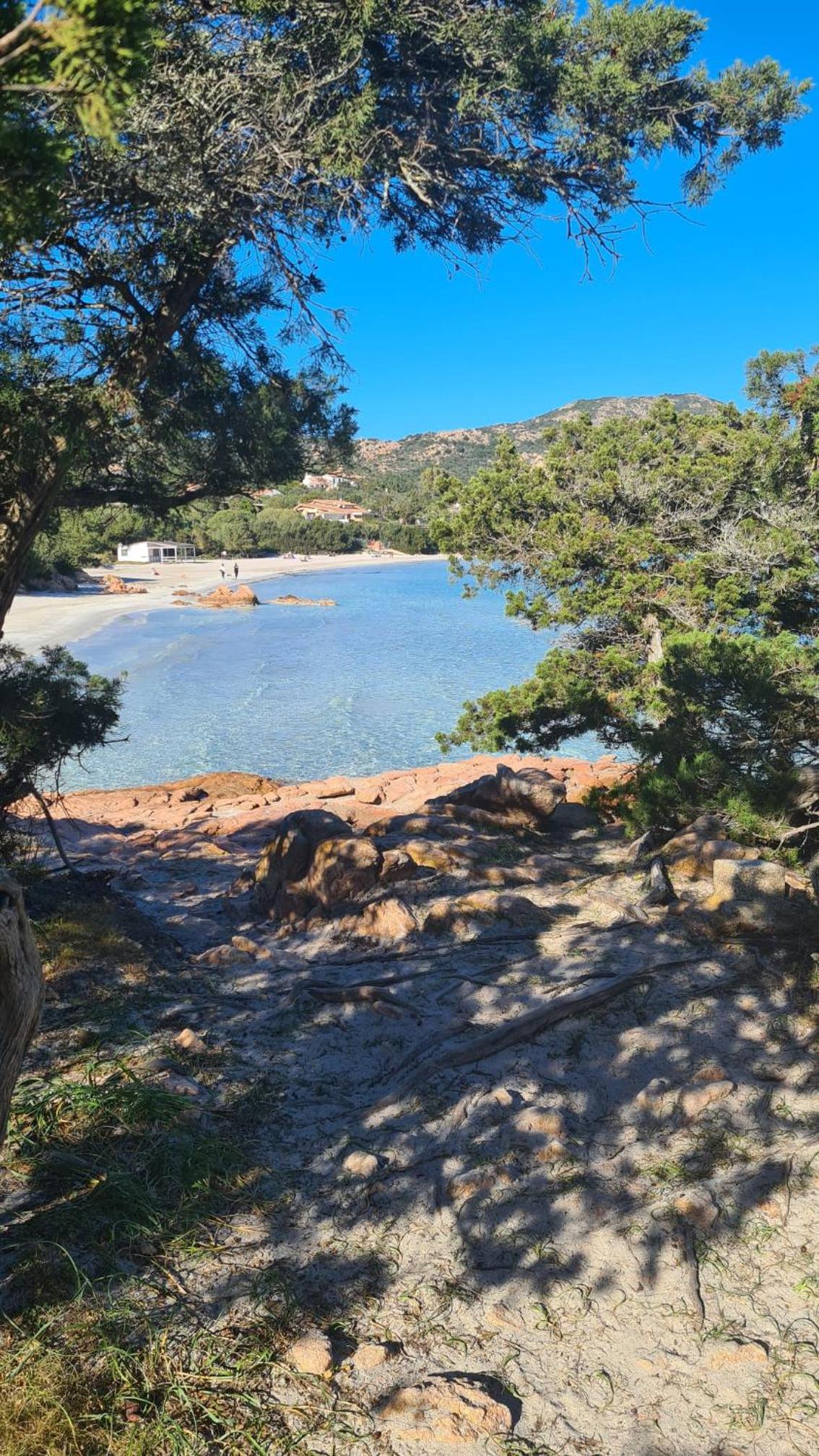 La Coccinella view 5