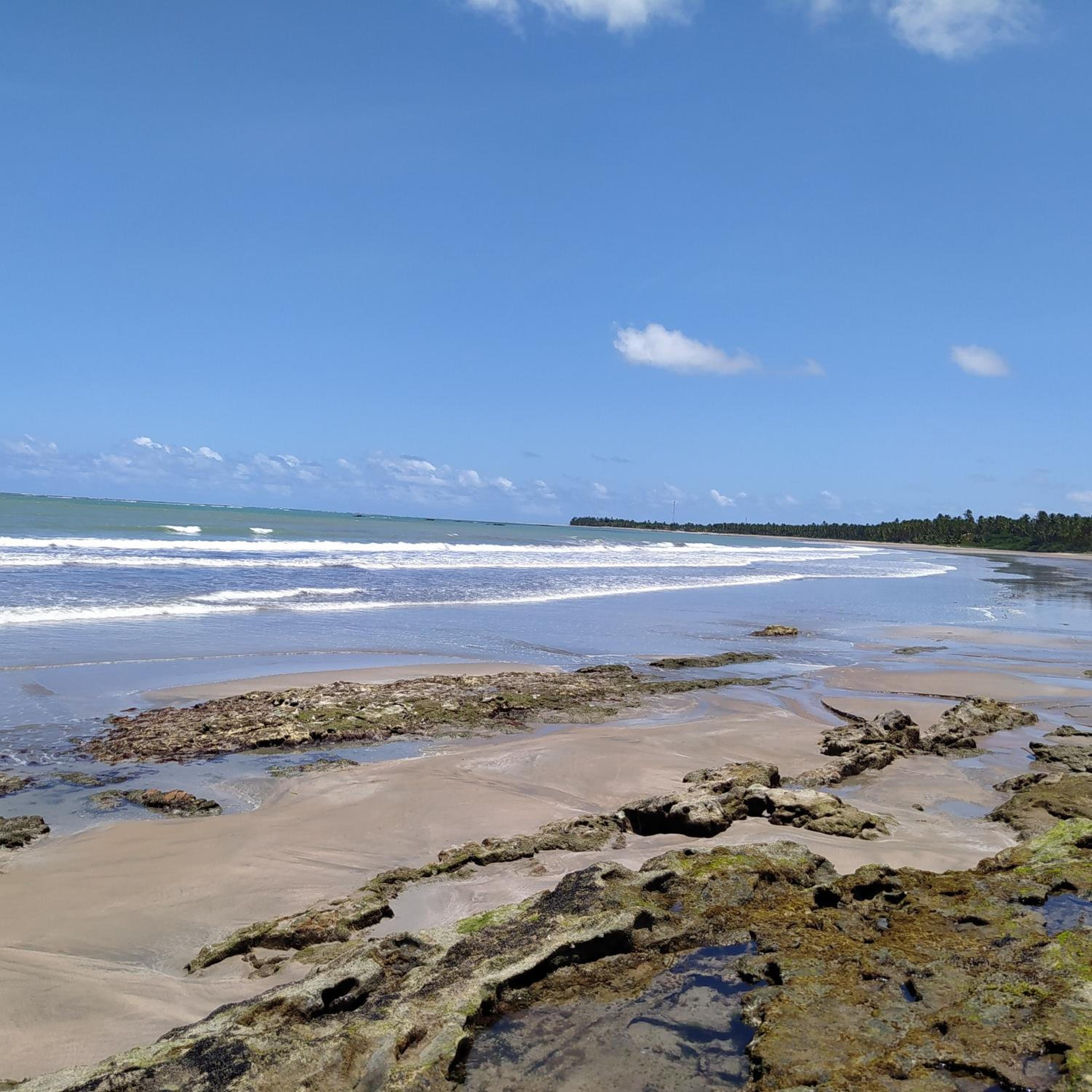 Flat Japaratinga Beach, photo 36