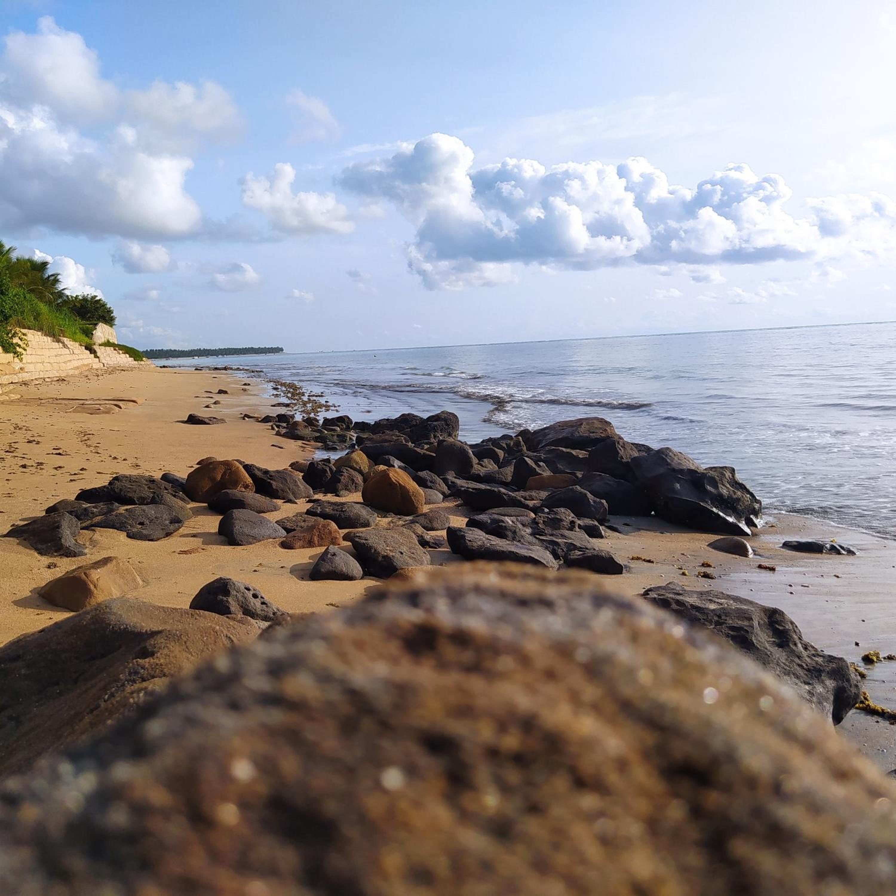 Flat Japaratinga Beach, photo 46