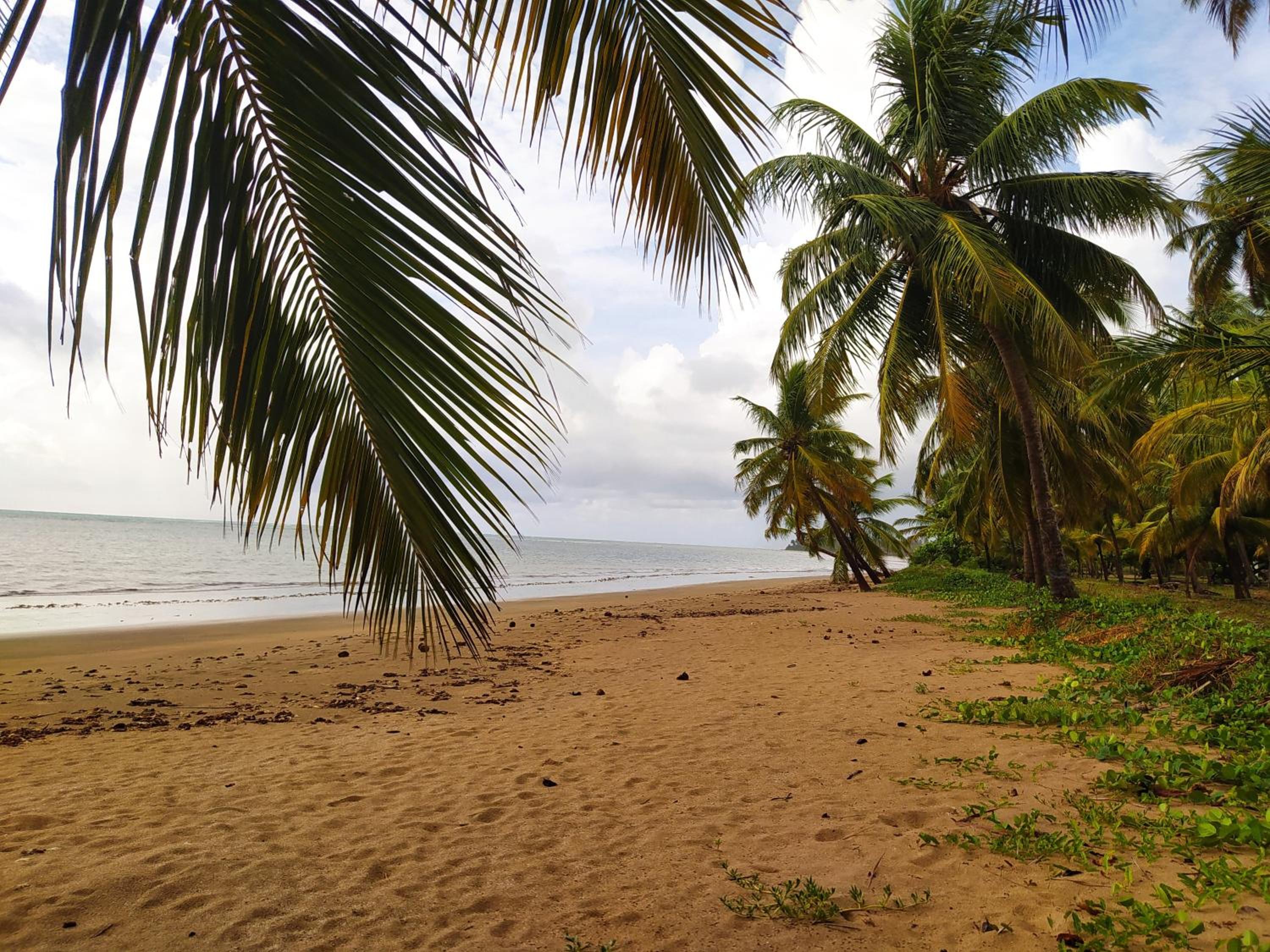 Flat Japaratinga Beach