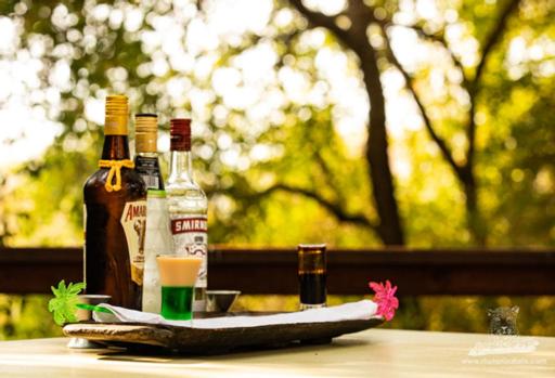 Elephant Plains Game Lodge