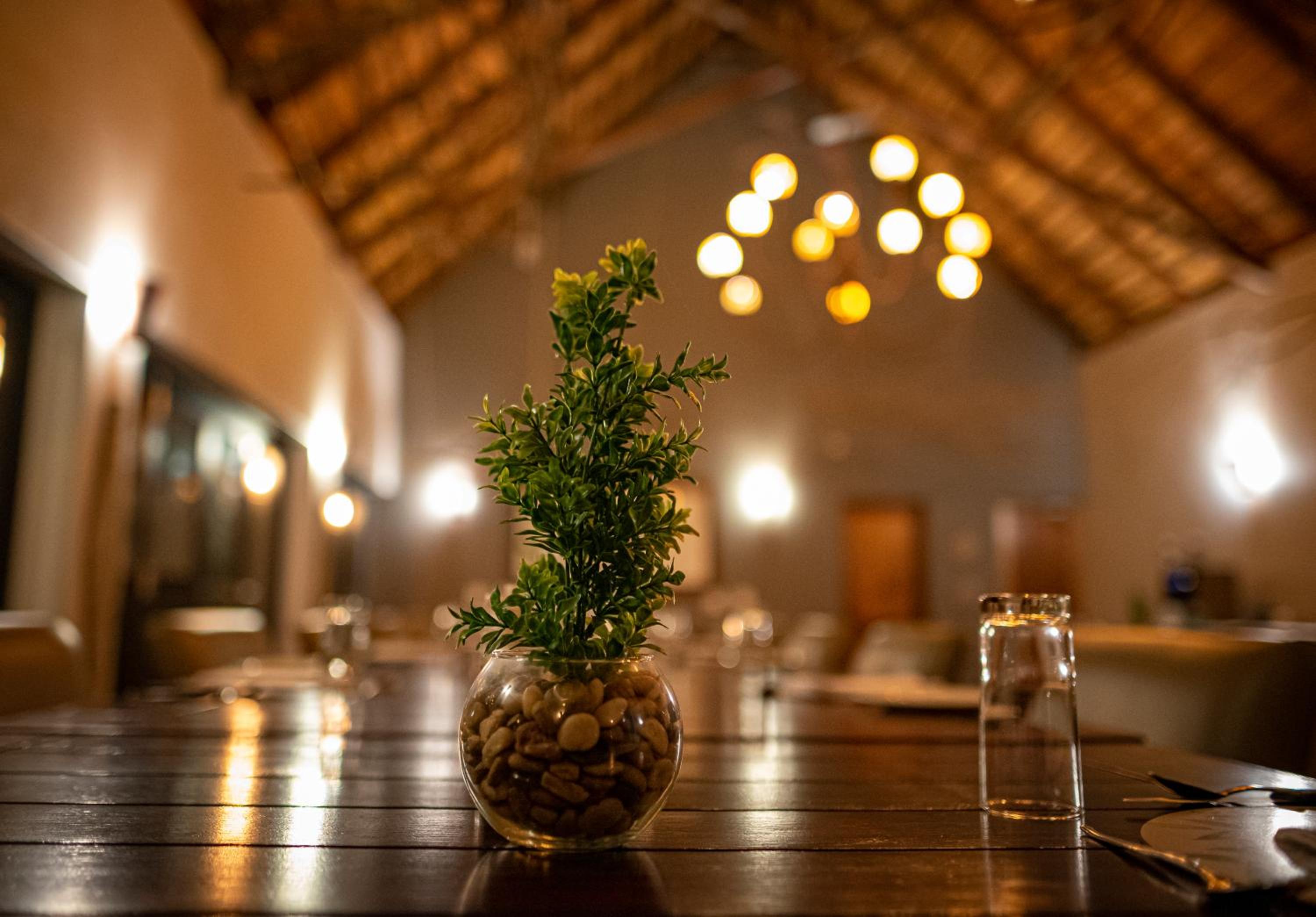 Elephant Plains Game Lodge